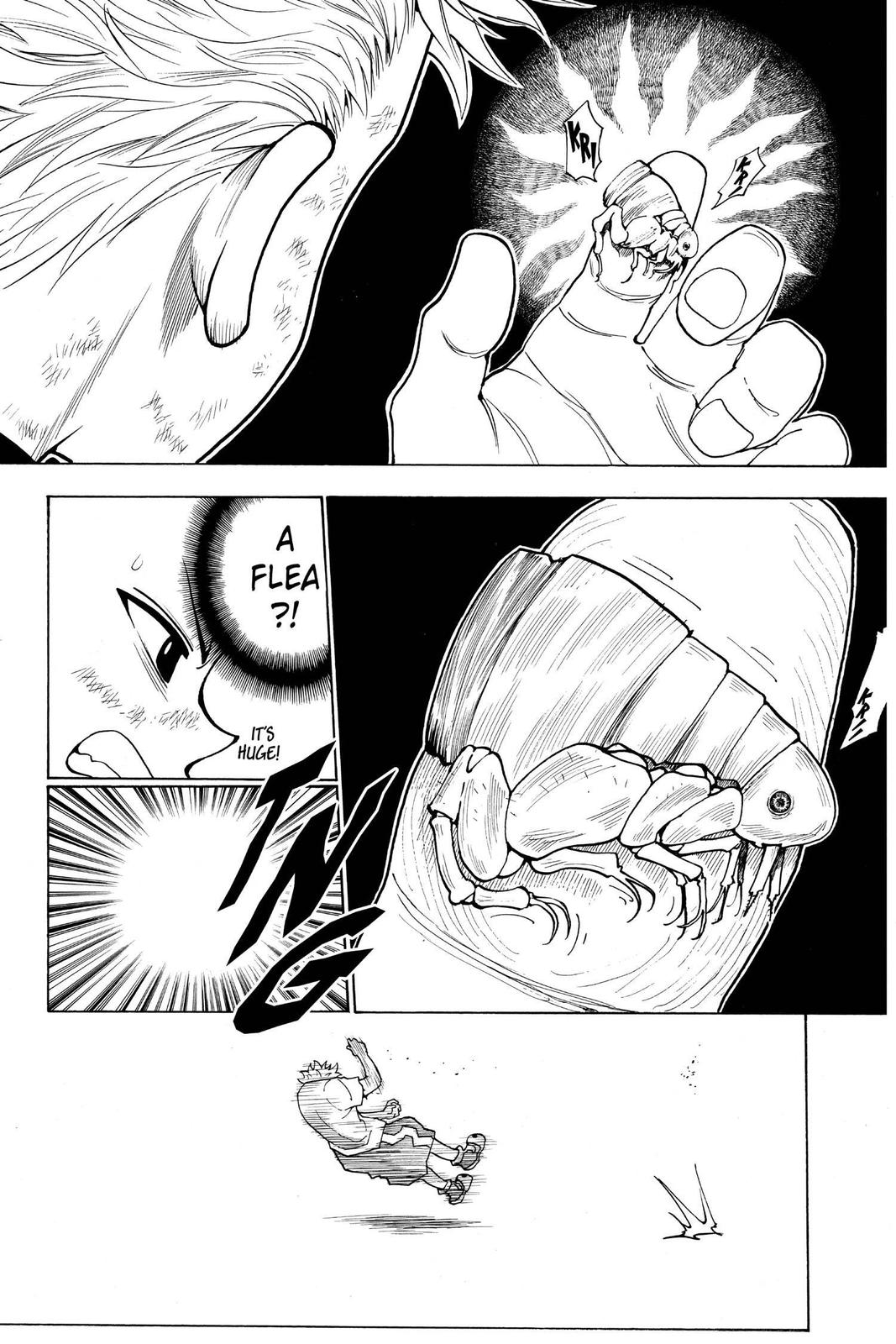 Hunter x Hunter Chapter 236 - Page 20