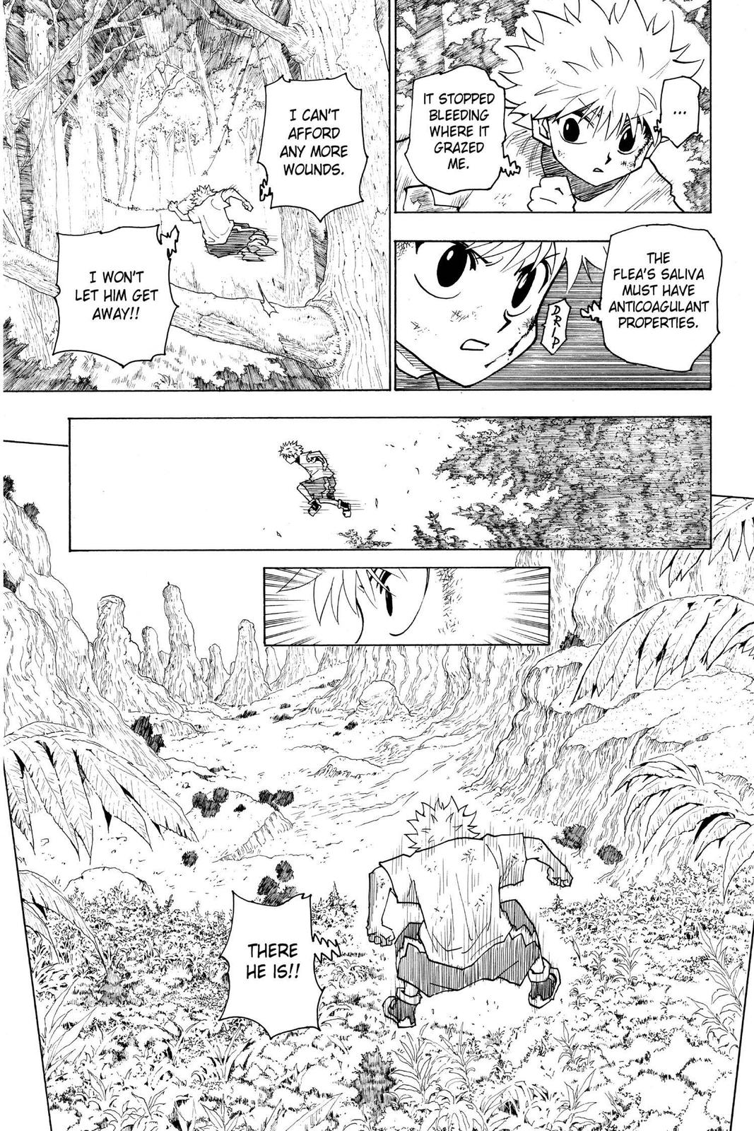 Hunter x Hunter Chapter 237 - Page 10