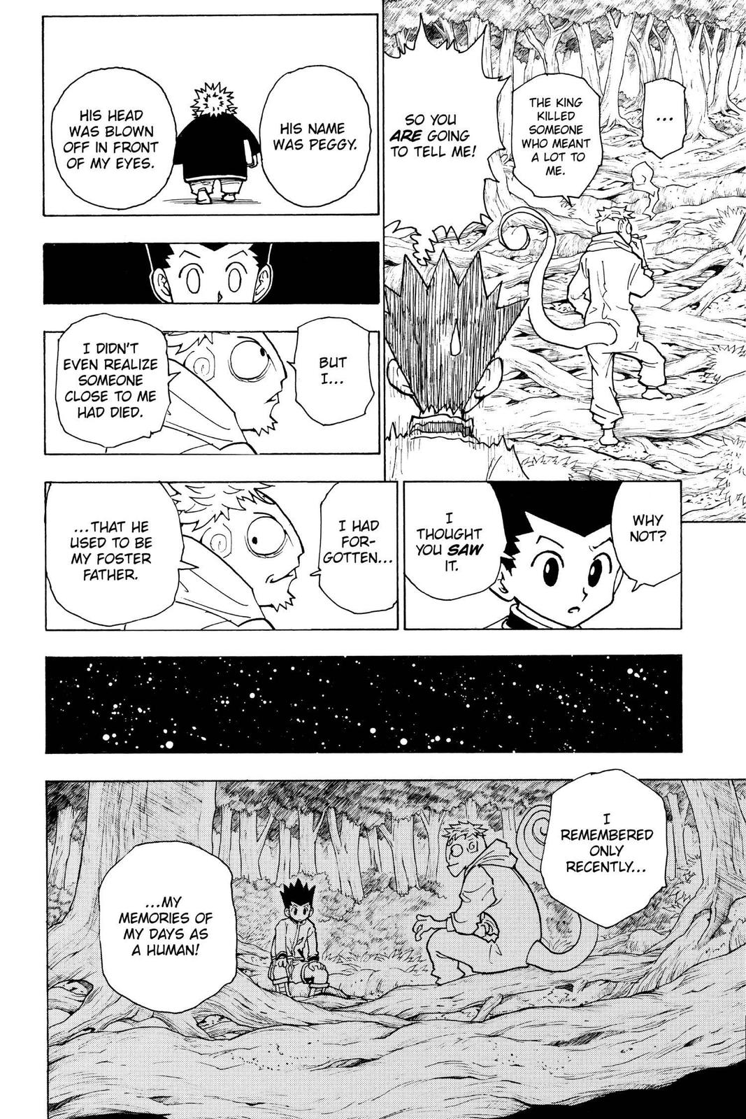 Hunter x Hunter Chapter 242 - Page 12