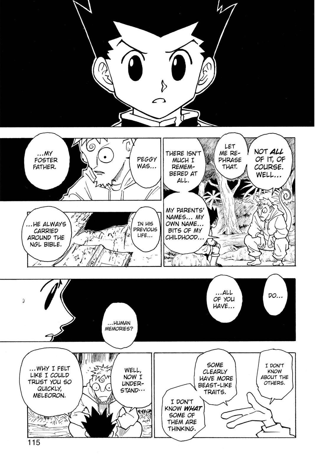 Hunter x Hunter Chapter 242 - Page 13