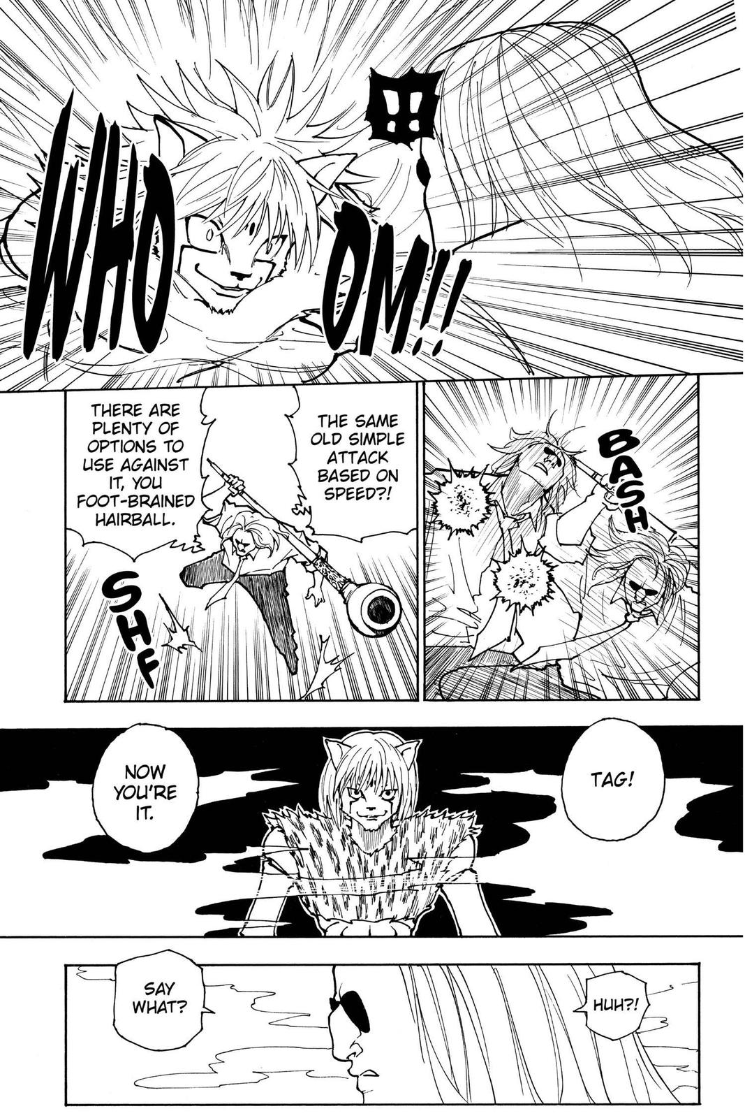 Hunter x Hunter Chapter 245 - Page 3
