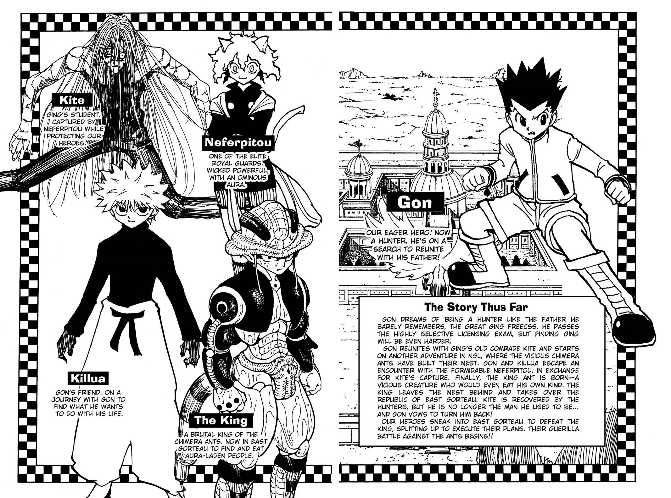 Hunter x Hunter Chapter 248 - Page 5