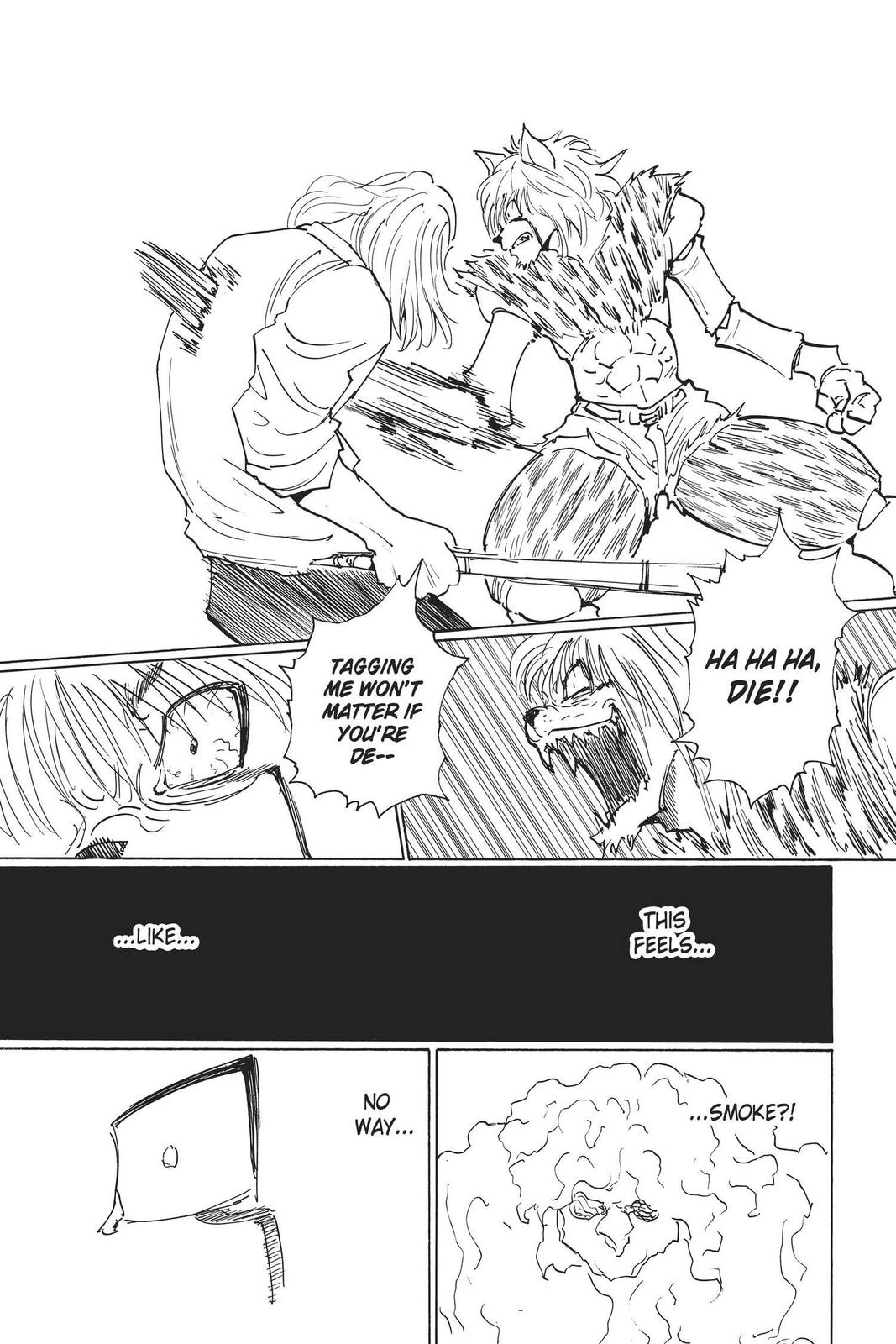 Hunter x Hunter Chapter 248 - Page 11