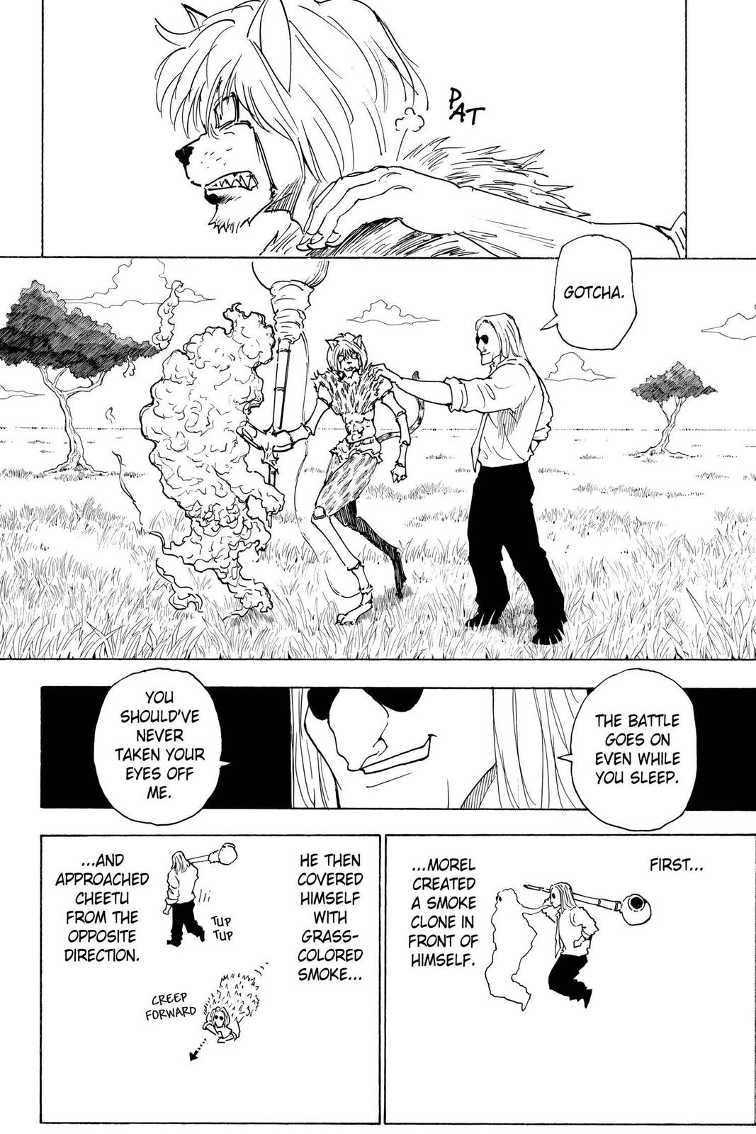 Hunter x Hunter Chapter 248 - Page 12