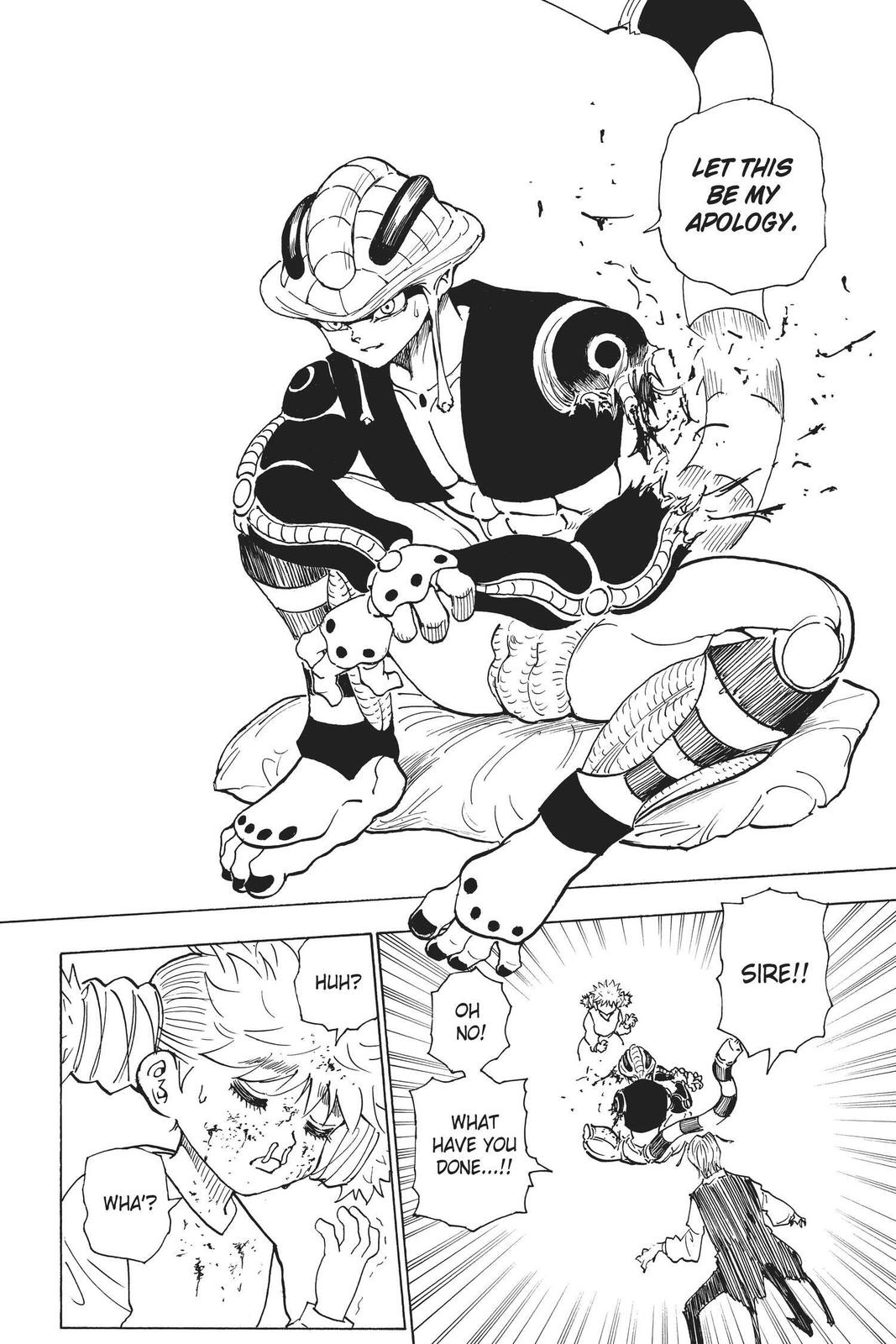 Hunter x Hunter Chapter 249 - Page 8