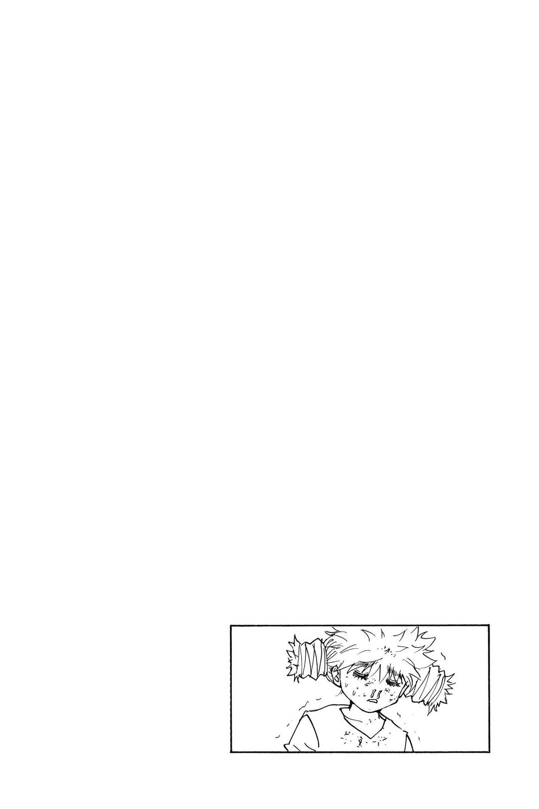 Hunter x Hunter Chapter 249 - Page 16