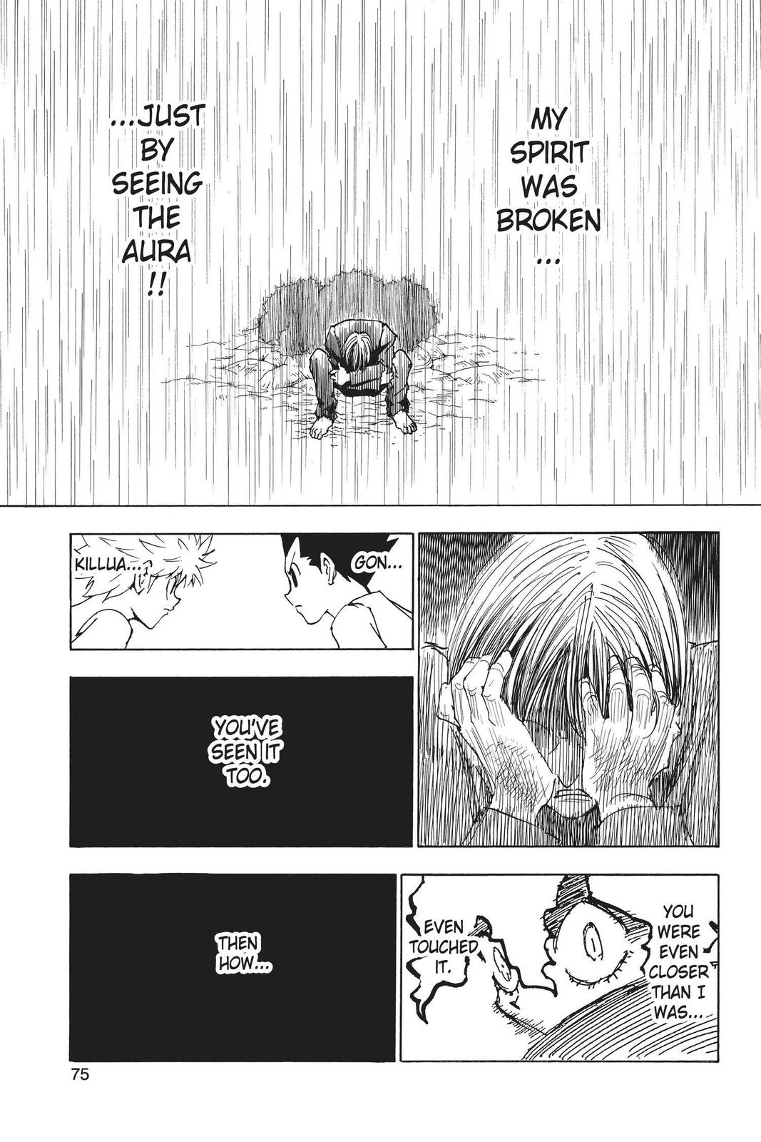 Hunter x Hunter Chapter 252 - Page 5