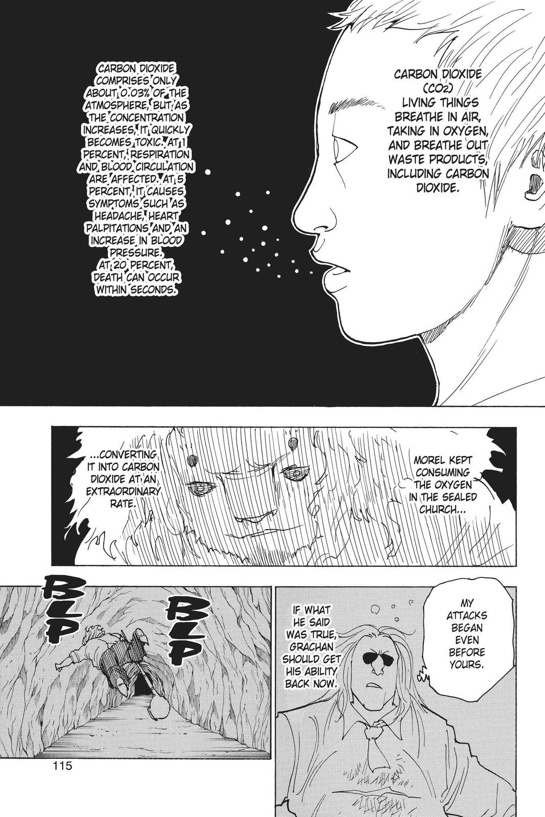 Hunter x Hunter Chapter 254 - Page 13