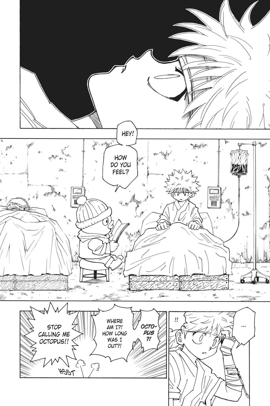 Hunter x Hunter Chapter 255 - Page 3