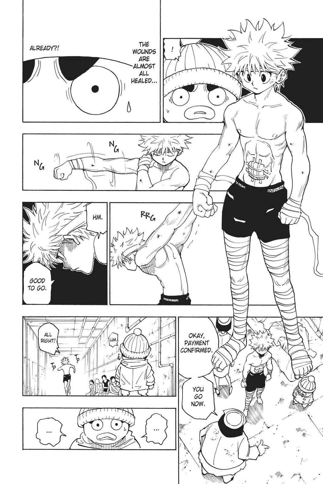 Hunter x Hunter Chapter 255 - Page 7