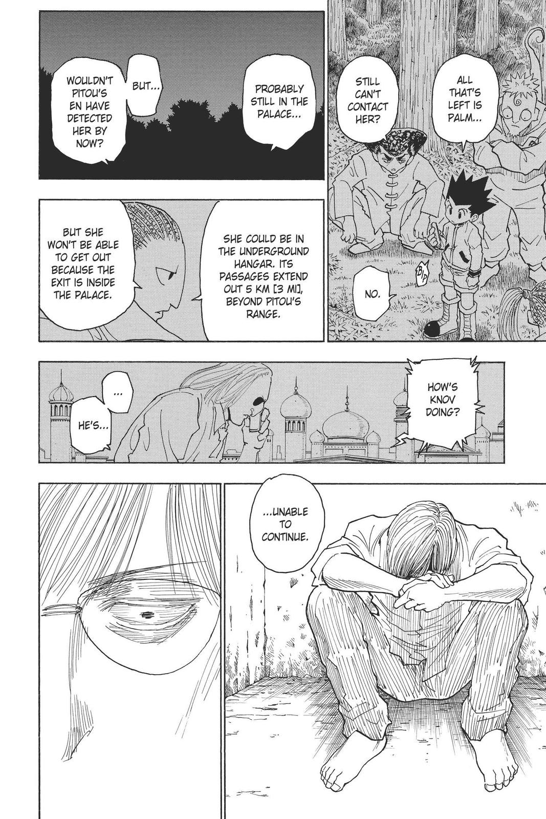 Hunter x Hunter Chapter 255 - Page 13