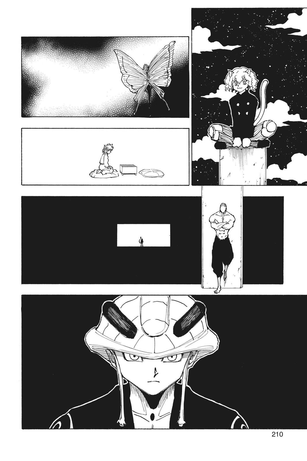 Hunter x Hunter Chapter 260 - Page 10