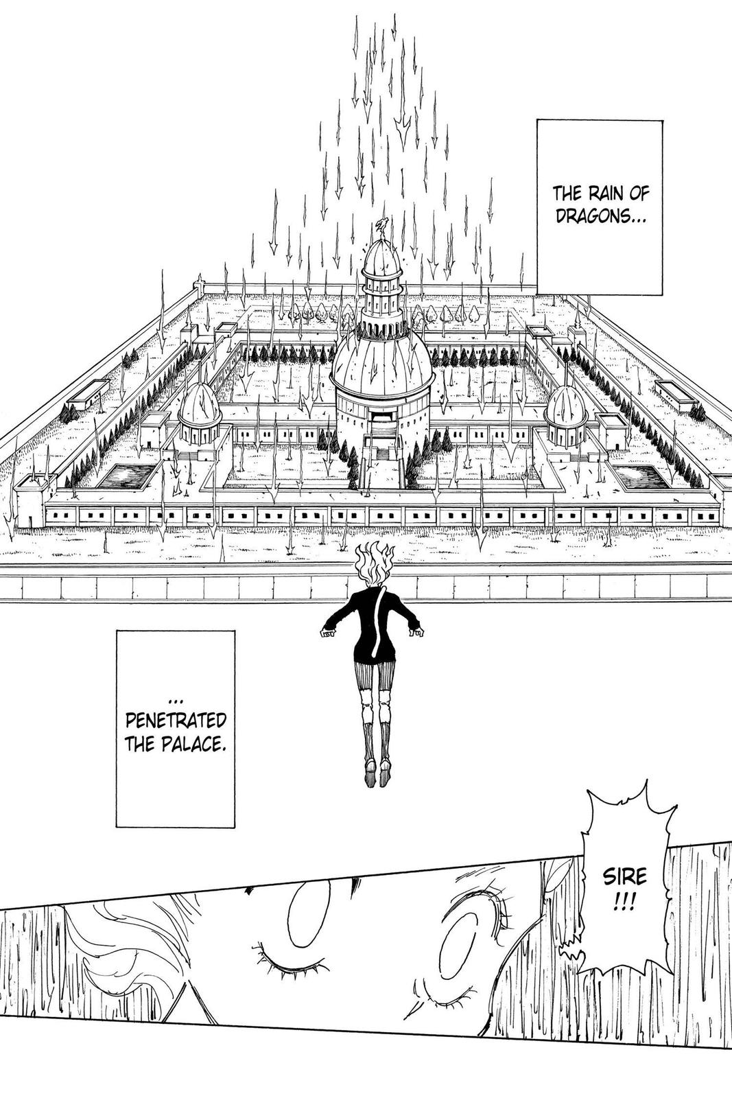 Hunter x Hunter Chapter 265 - Page 13