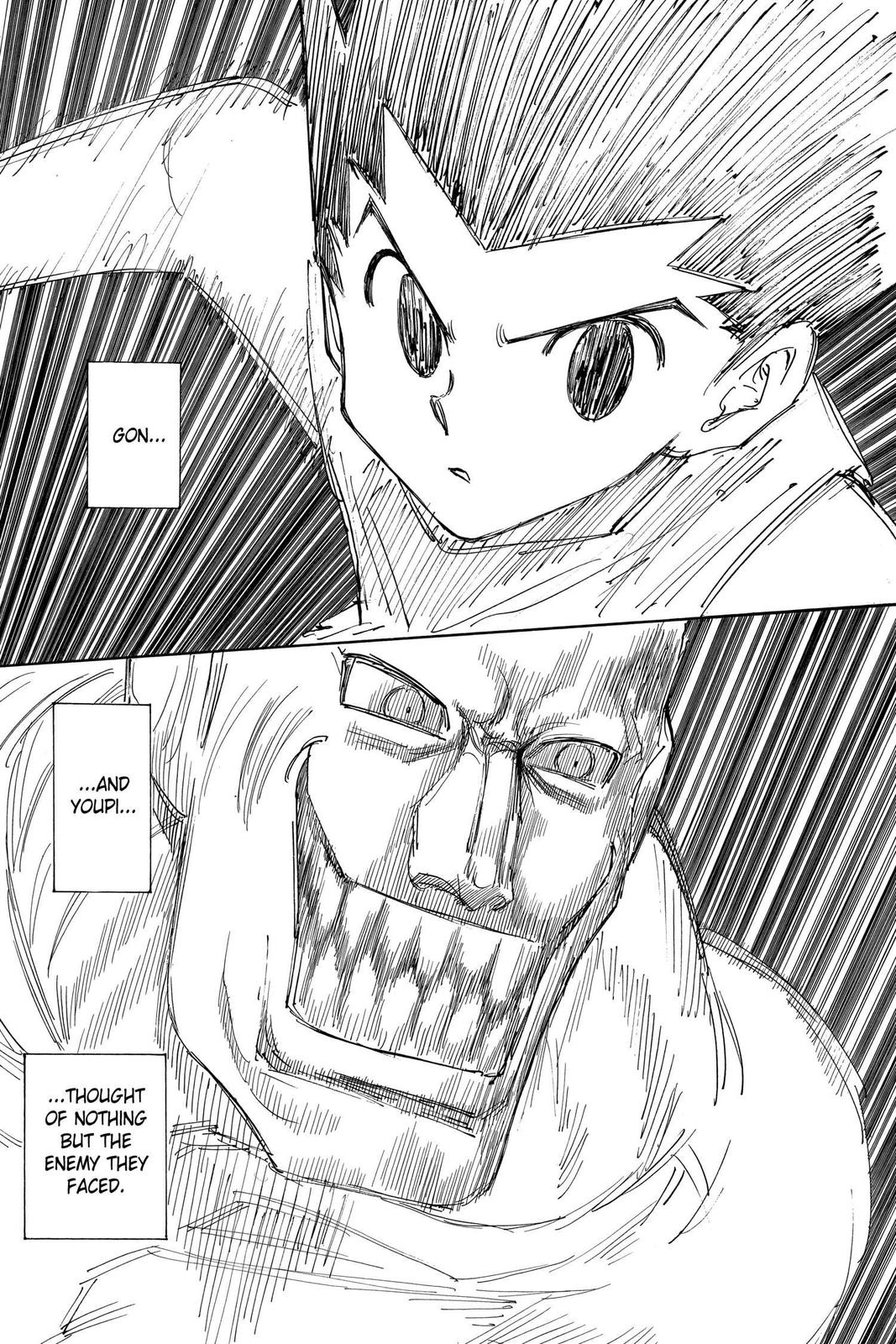 Hunter x Hunter Chapter 266 - Page 8