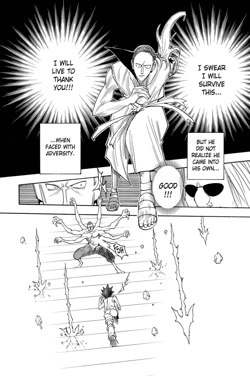 Hunter x Hunter Chapter 266 - Page 13