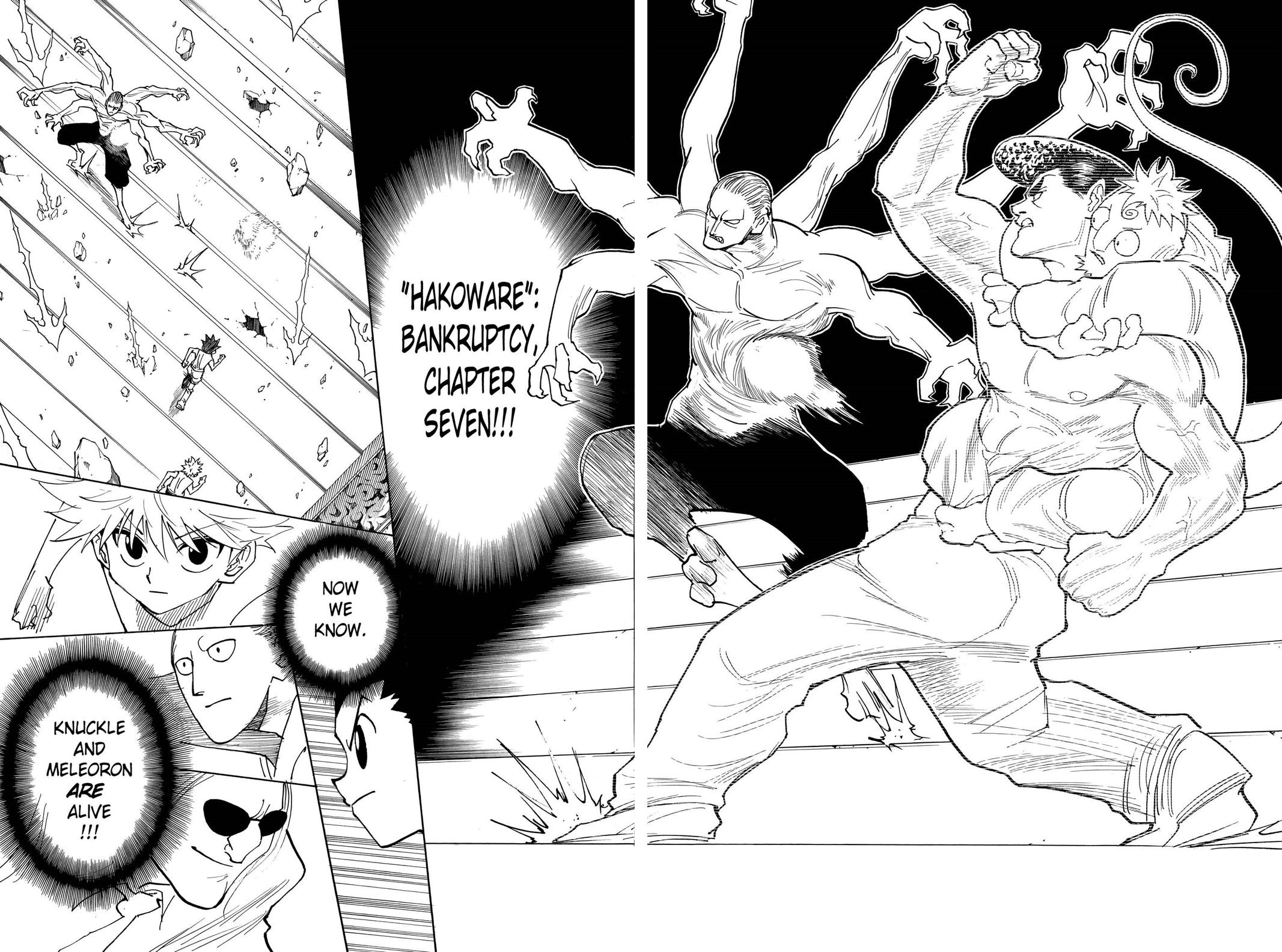 Hunter x Hunter Chapter 266 - Page 15