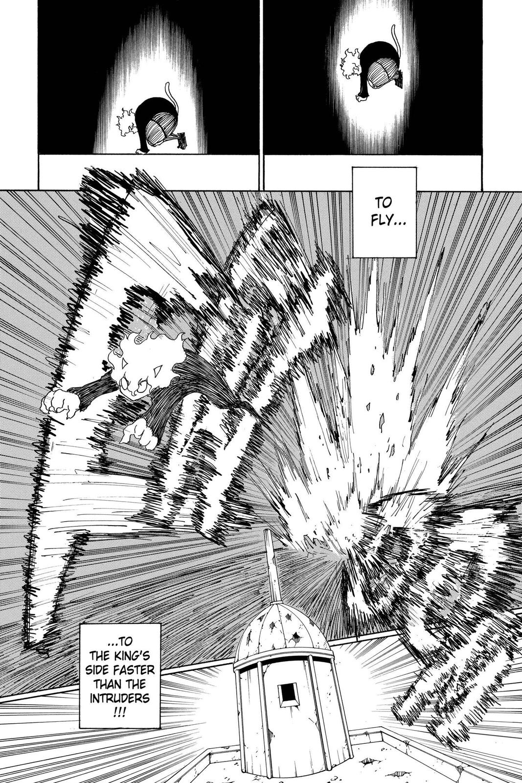 Hunter x Hunter Chapter 267 - Page 13