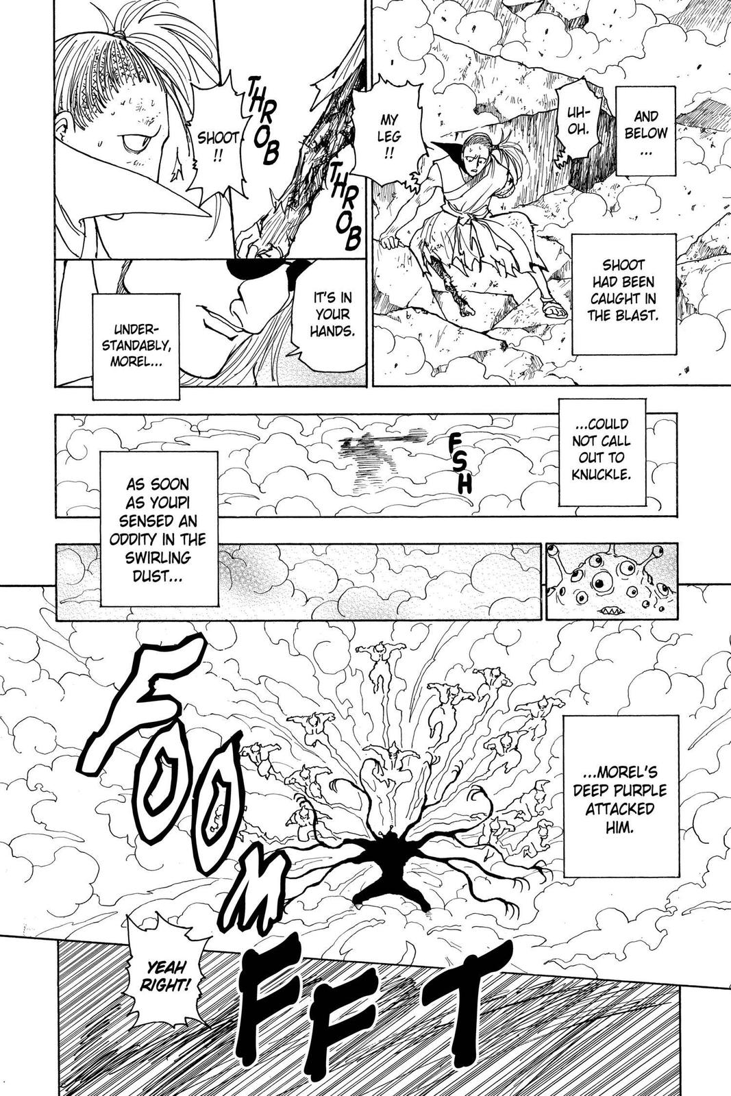 Hunter x Hunter Chapter 268 - Page 13