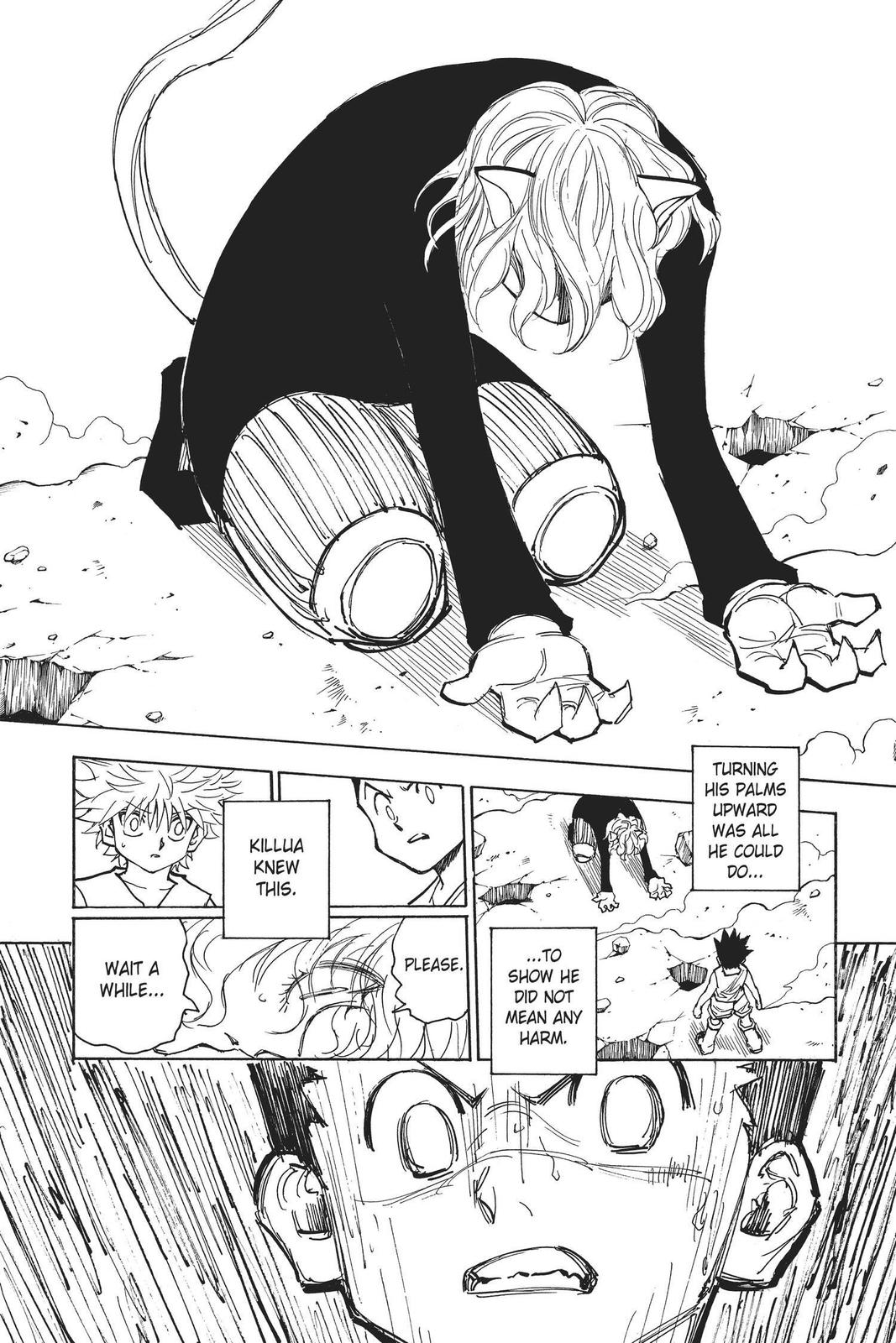 Hunter x Hunter Chapter 274 - Page 9