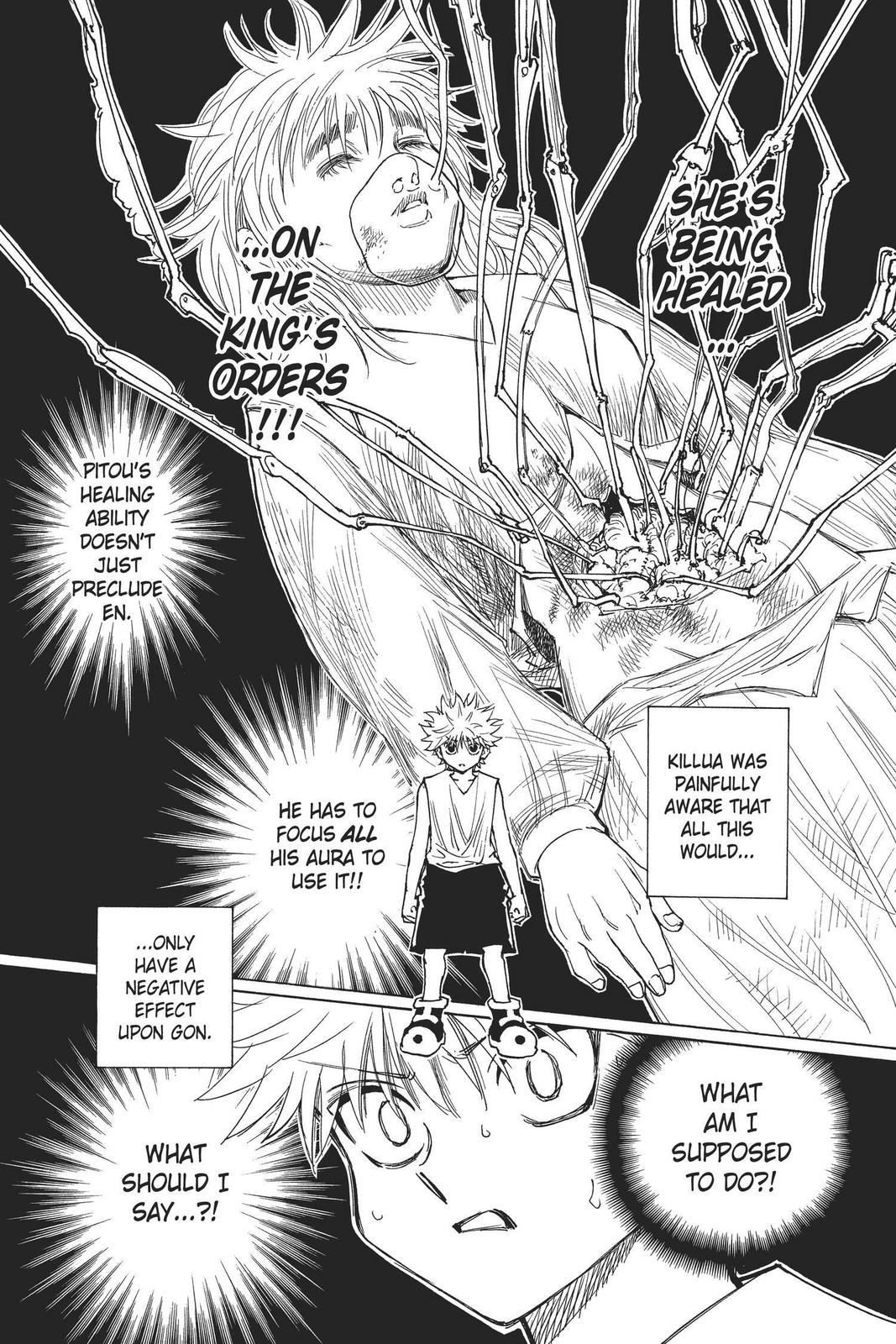 Hunter x Hunter Chapter 274 - Page 12
