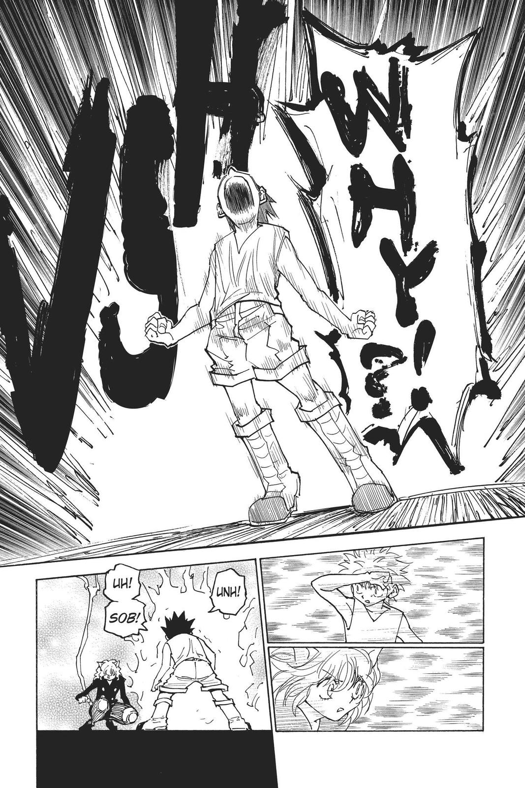Hunter x Hunter Chapter 275 - Page 9