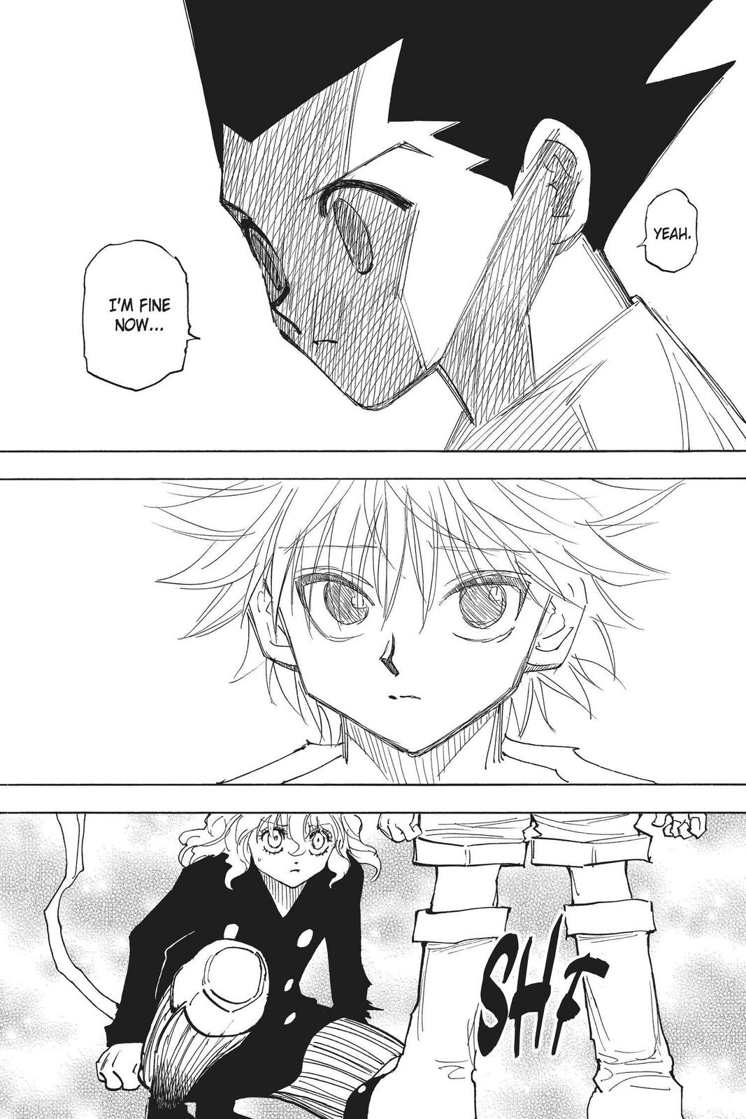 Hunter x Hunter Chapter 275 - Page 13