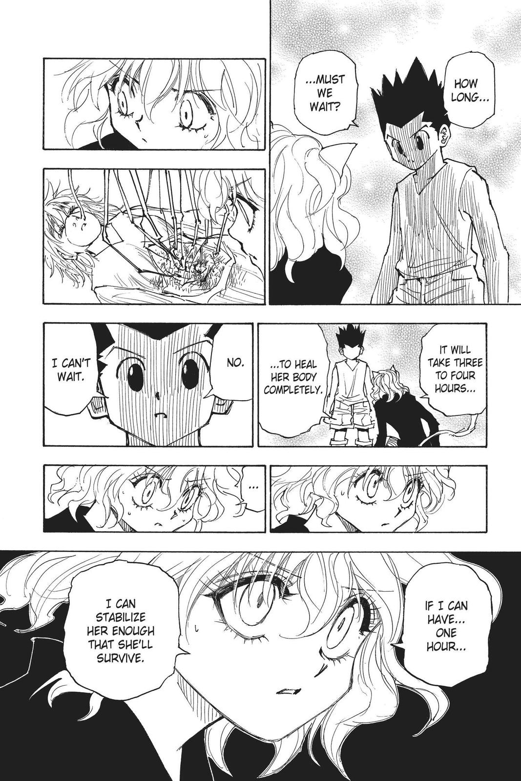Hunter x Hunter Chapter 275 - Page 14