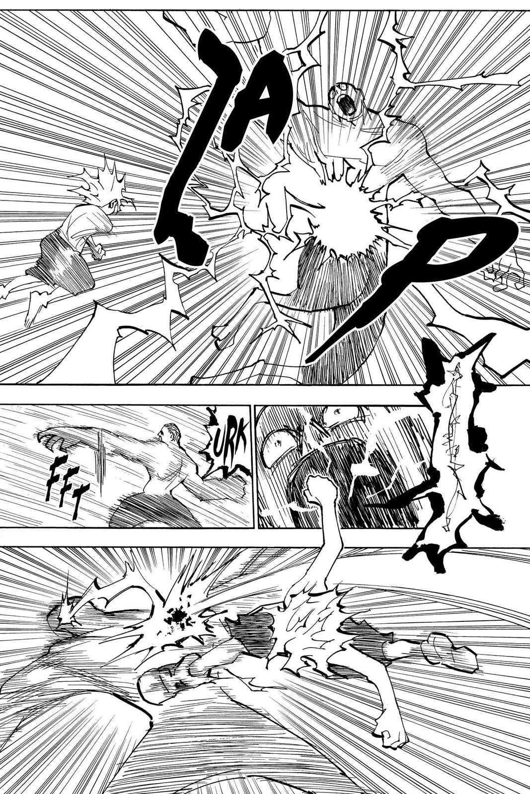 Hunter x Hunter Chapter 281 - Page 17