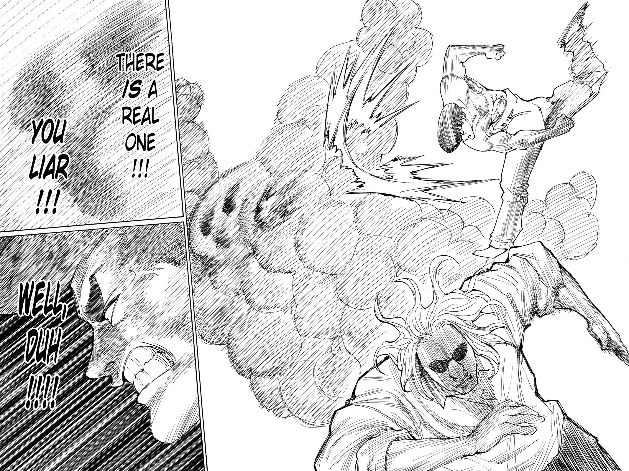 Hunter x Hunter Chapter 285 - Page 14