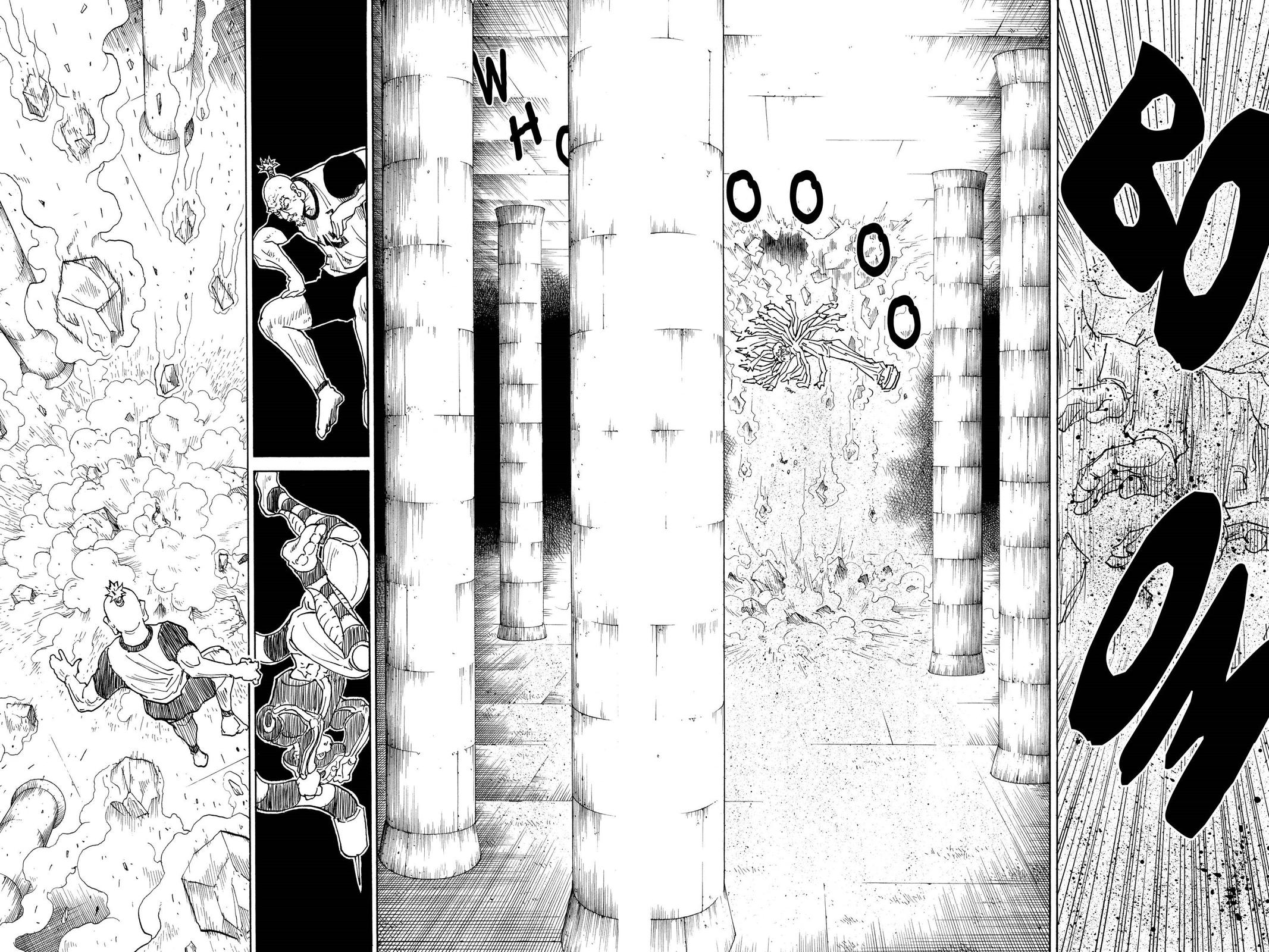 Hunter x Hunter Chapter 291 - Page 17