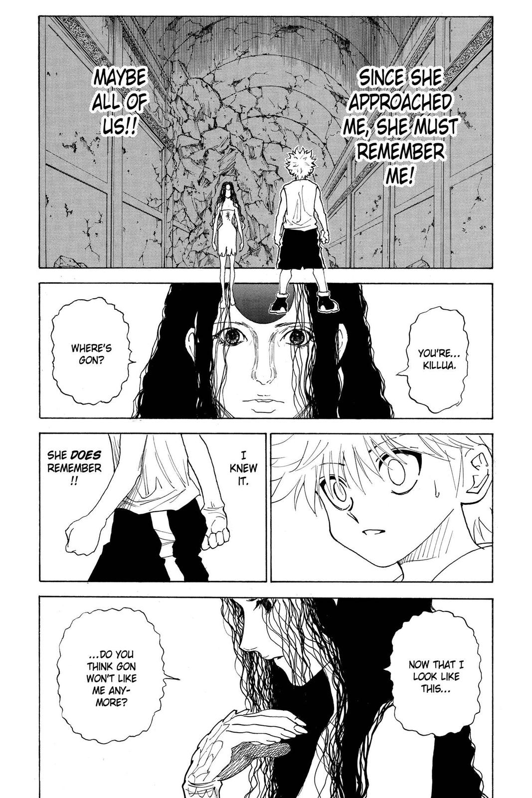 Hunter x Hunter Chapter 293 - Page 9