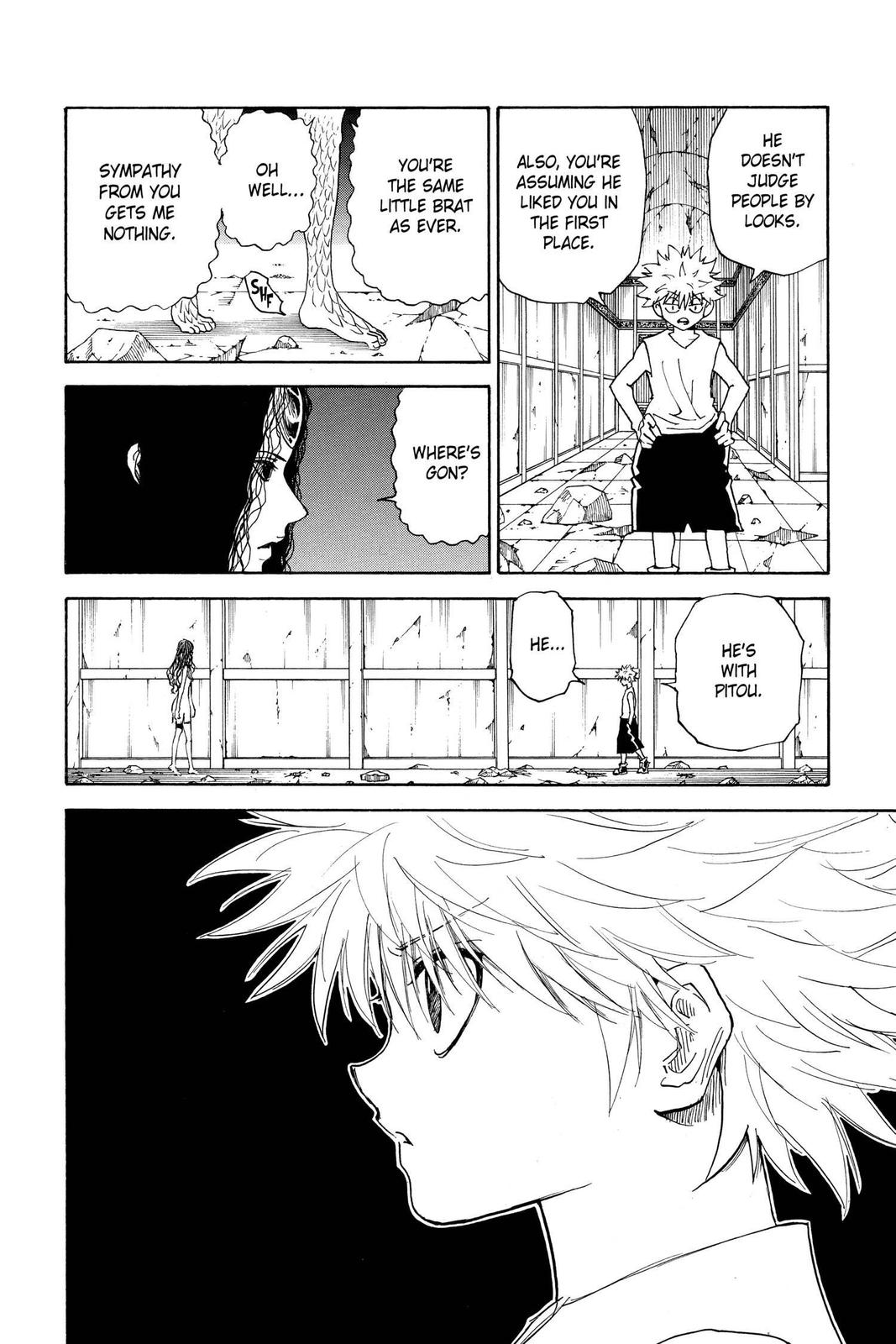 Hunter x Hunter Chapter 293 - Page 10