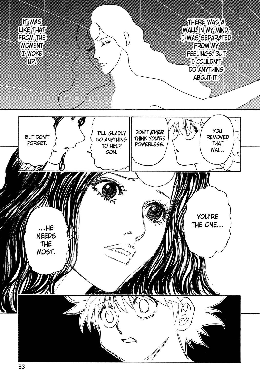 Hunter x Hunter Chapter 294 - Page 17