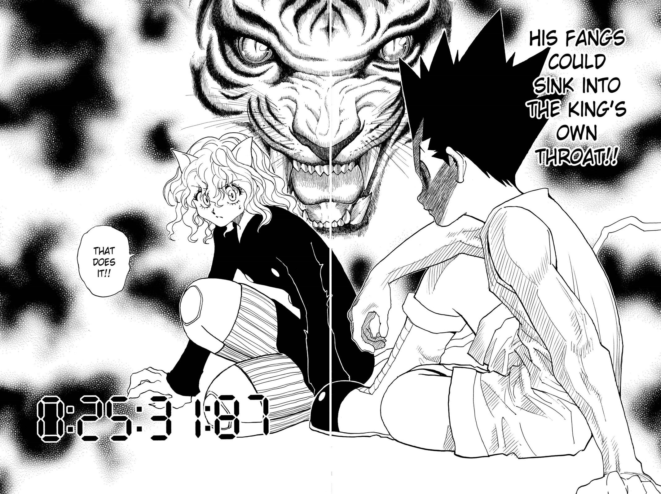 Hunter x Hunter Chapter 295 - Page 14