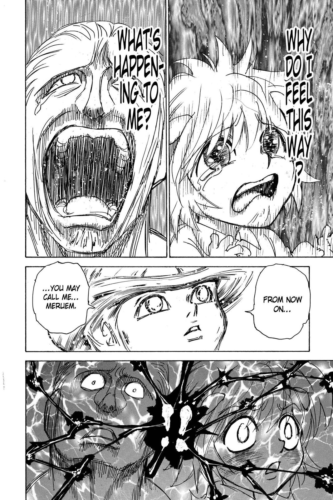 Hunter x Hunter Chapter 299 - Page 14