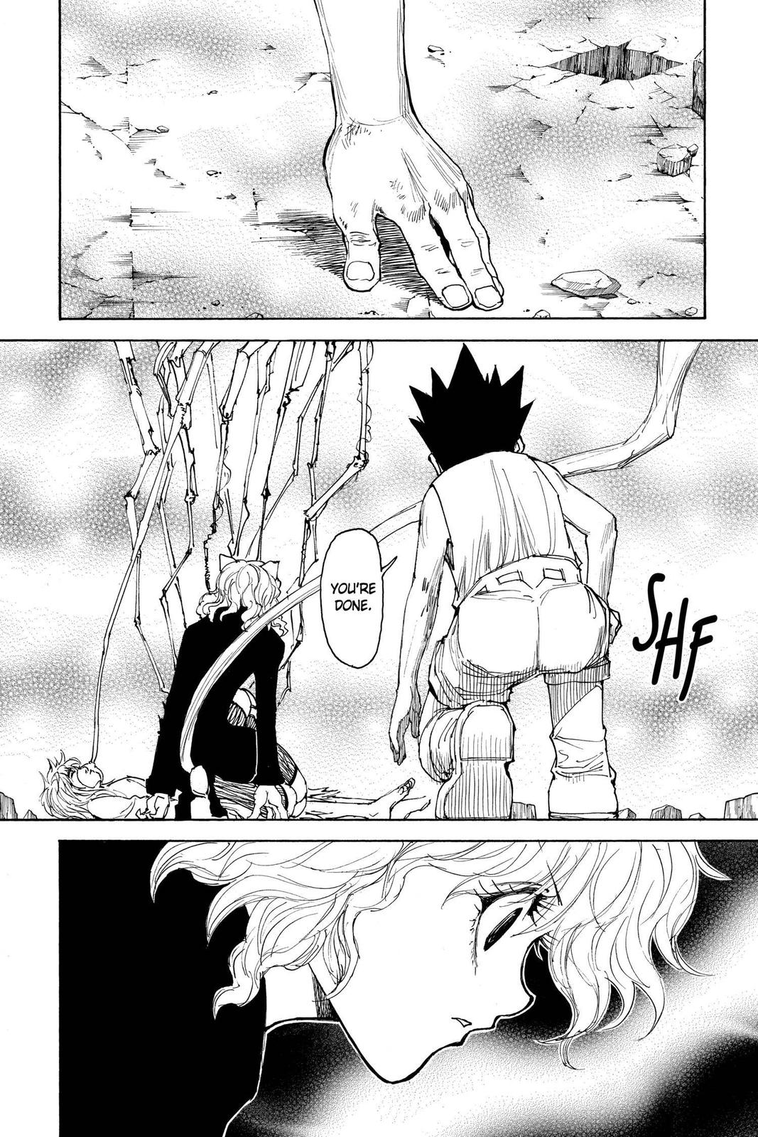 Hunter x Hunter Chapter 300 - Page 8