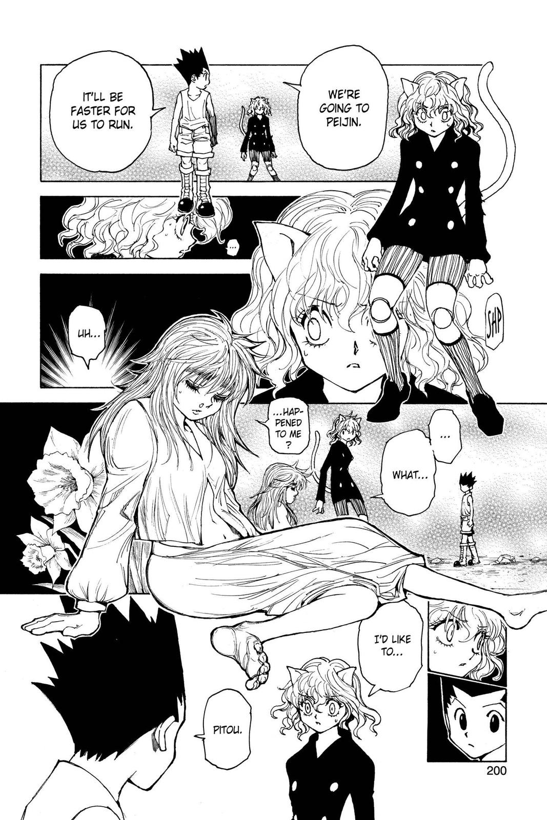 Hunter x Hunter Chapter 300 - Page 11