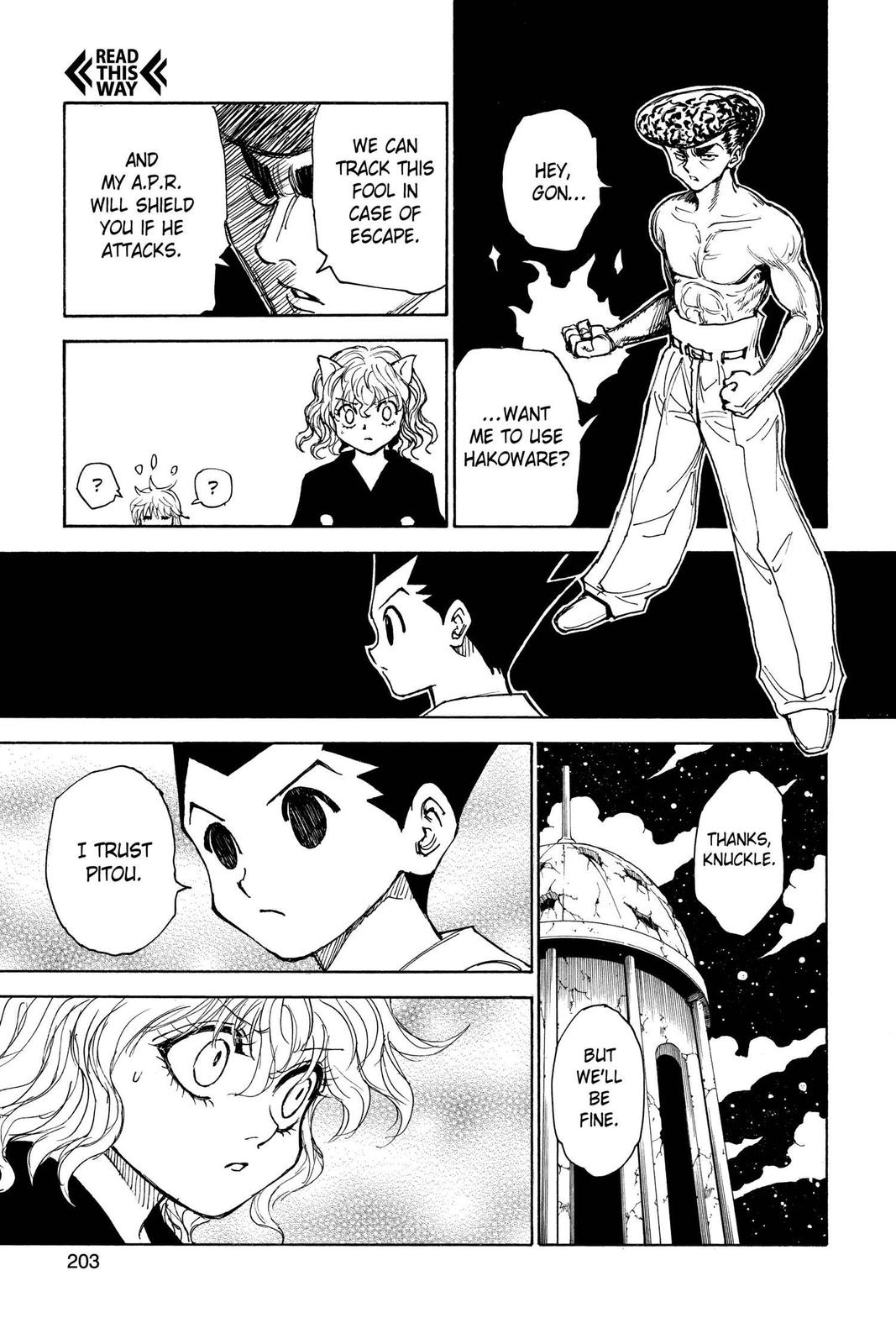 Hunter x Hunter Chapter 300 - Page 14