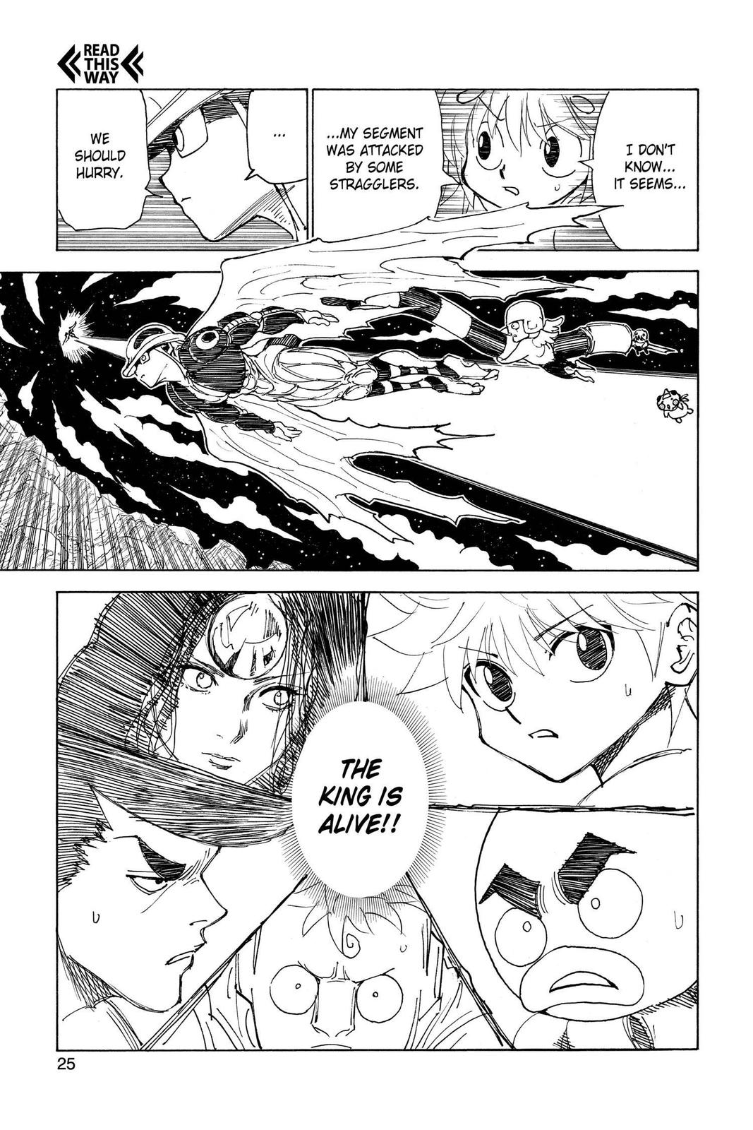 Hunter x Hunter Chapter 301 - Page 25