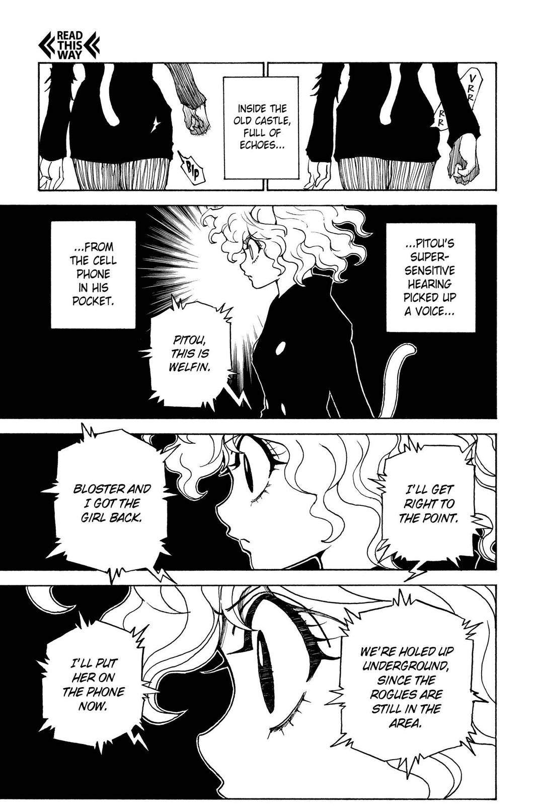 Hunter x Hunter Chapter 304 - Page 8