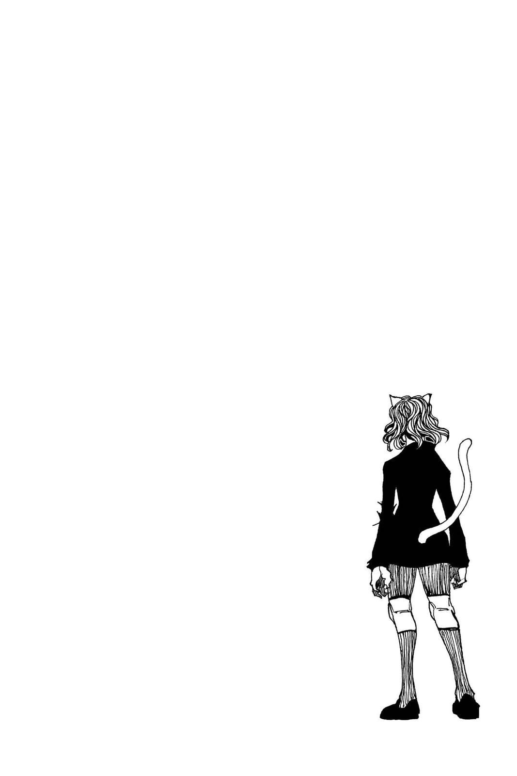 Hunter x Hunter Chapter 304 - Page 18