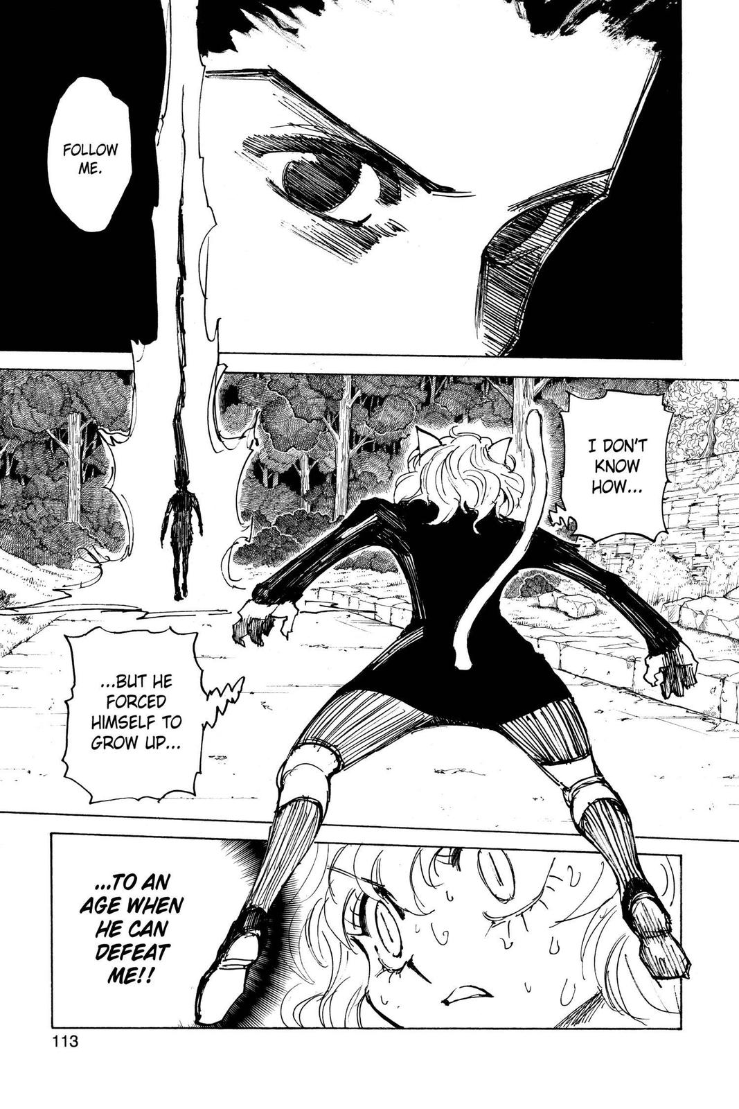 Hunter x Hunter Chapter 306 - Page 6