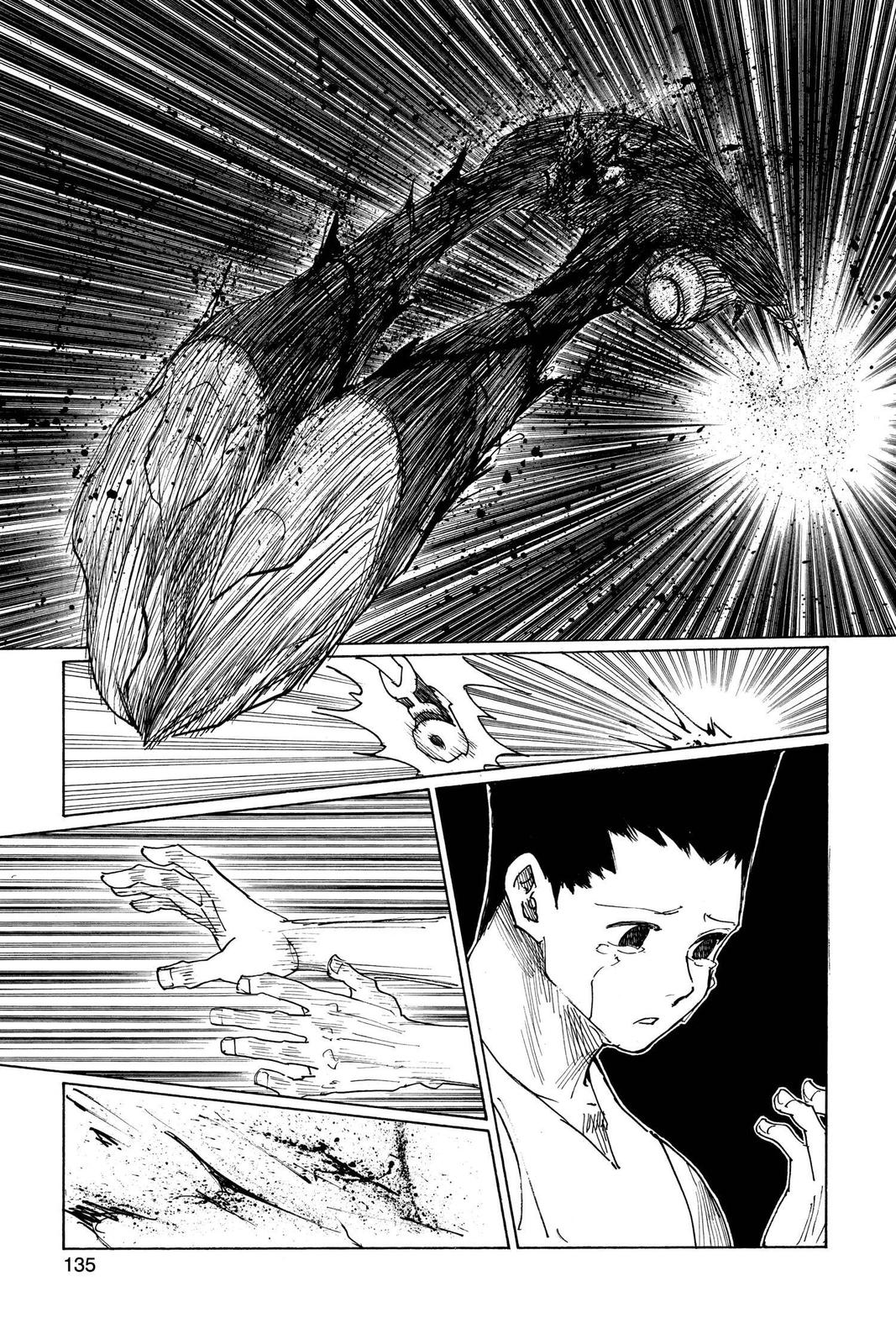 Hunter x Hunter Chapter 307 - Page 7
