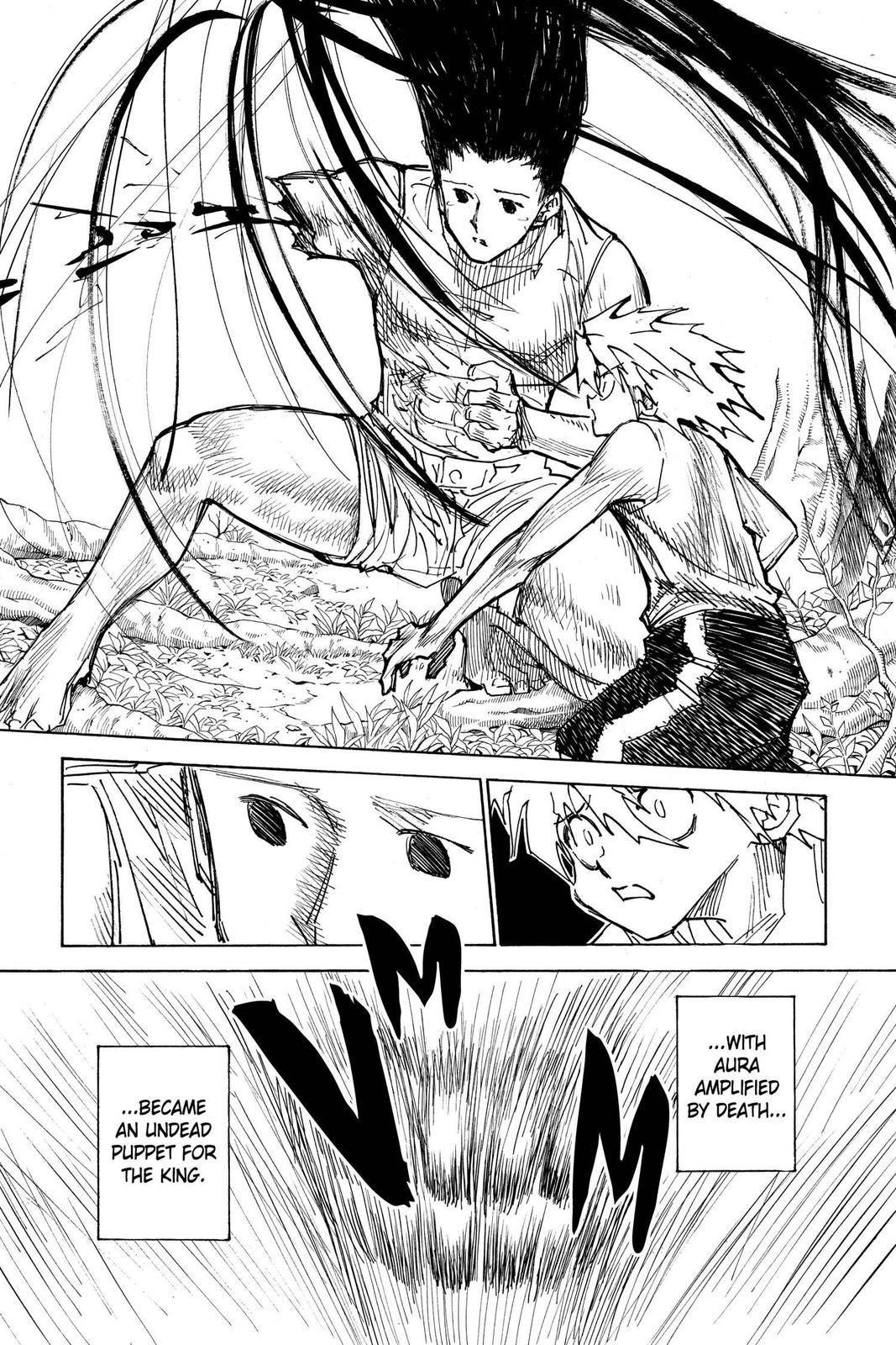 Hunter x Hunter Chapter 307 - Page 9