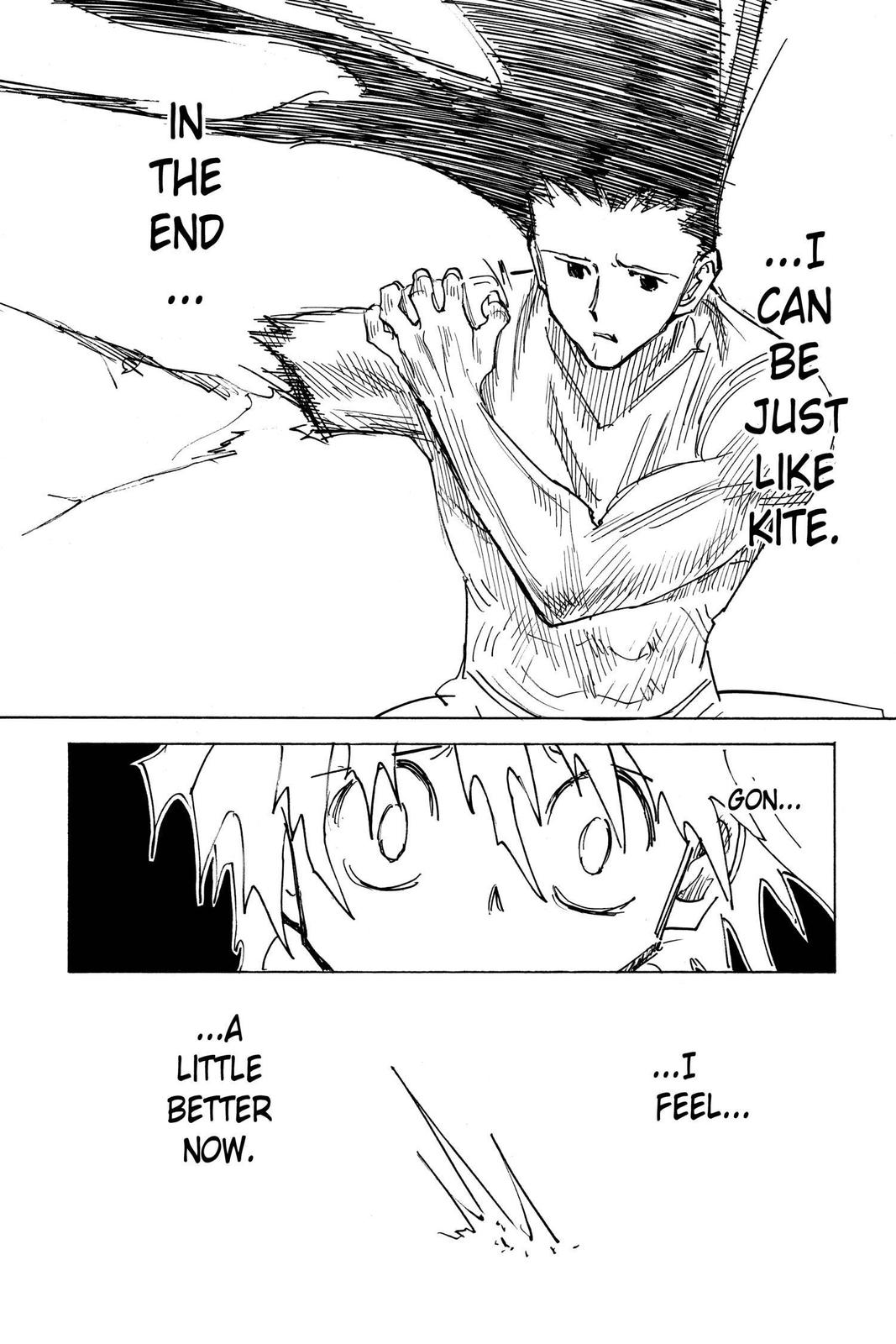 Hunter x Hunter Chapter 307 - Page 12