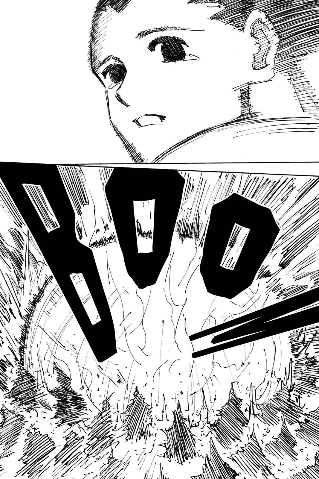 Hunter x Hunter Chapter 307 - Page 17