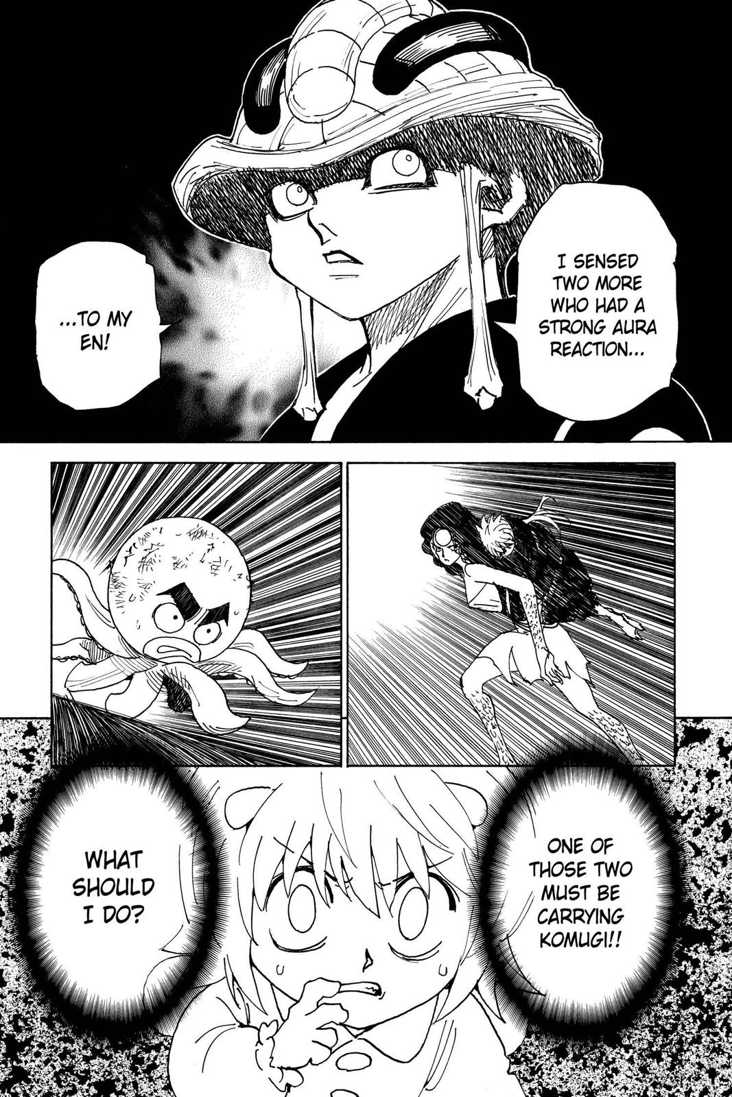 Hunter x Hunter Chapter 308 - Page 17