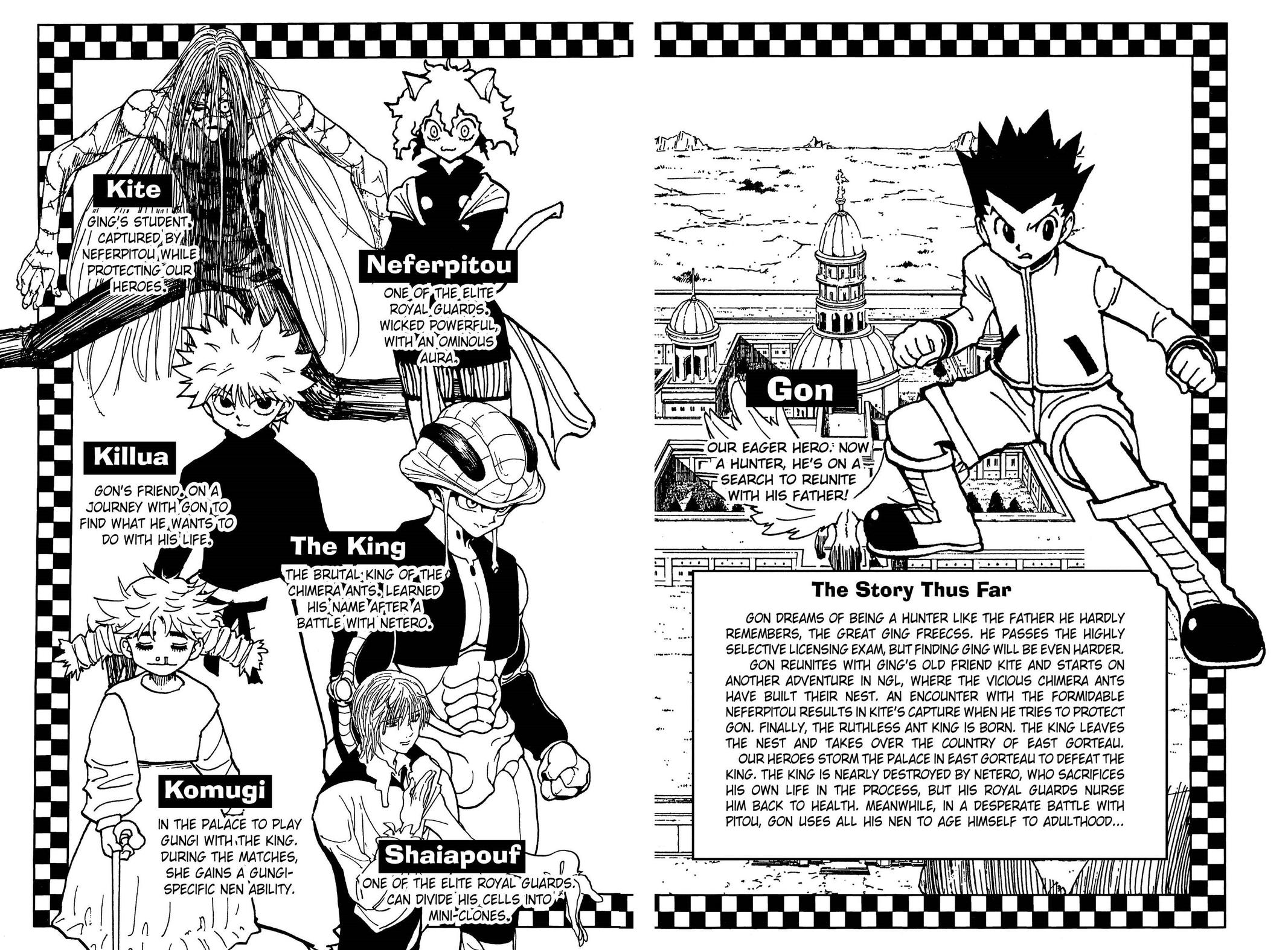 Hunter x Hunter Chapter 311 - Page 5