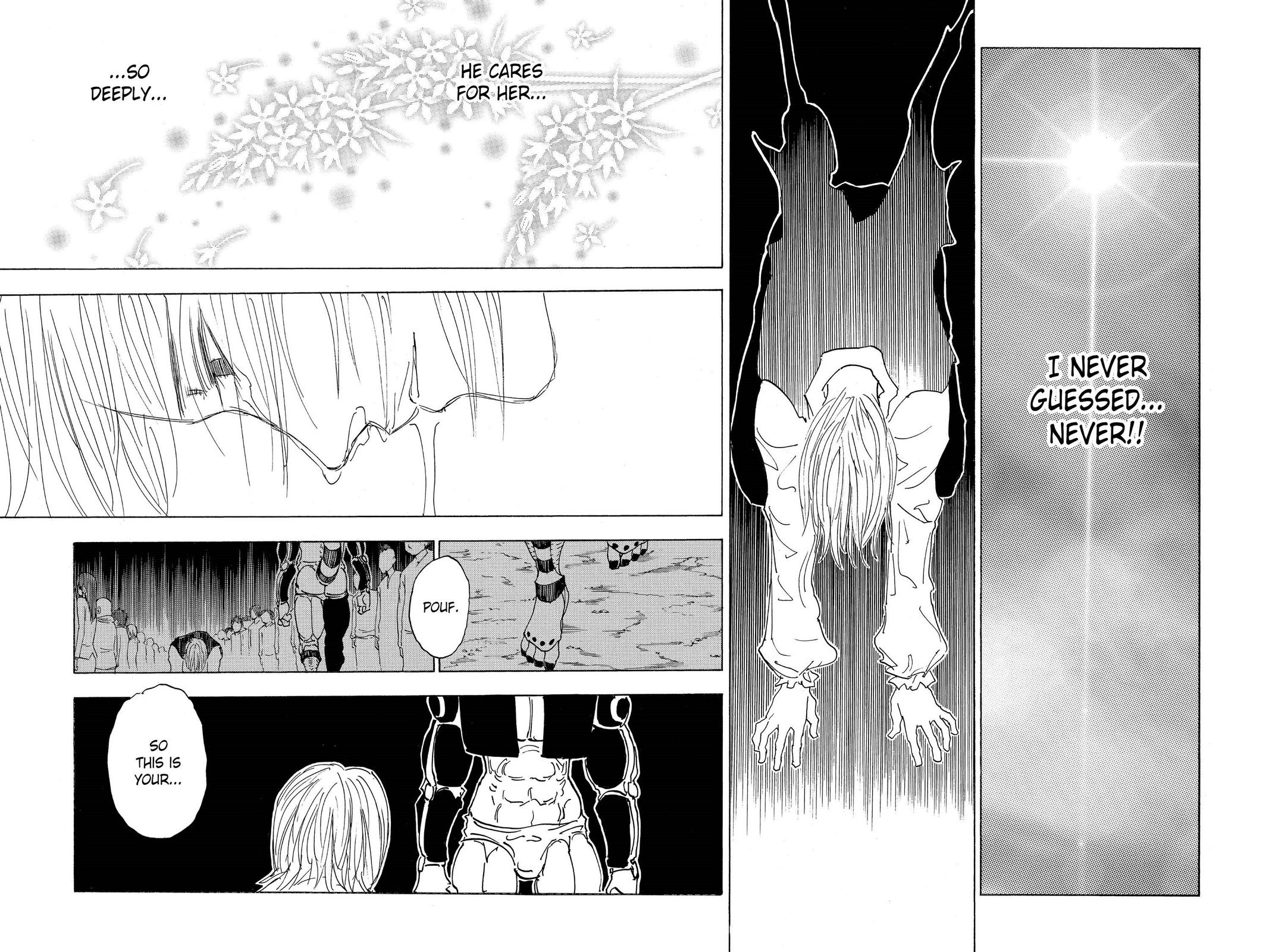 Hunter x Hunter Chapter 313 - Page 8