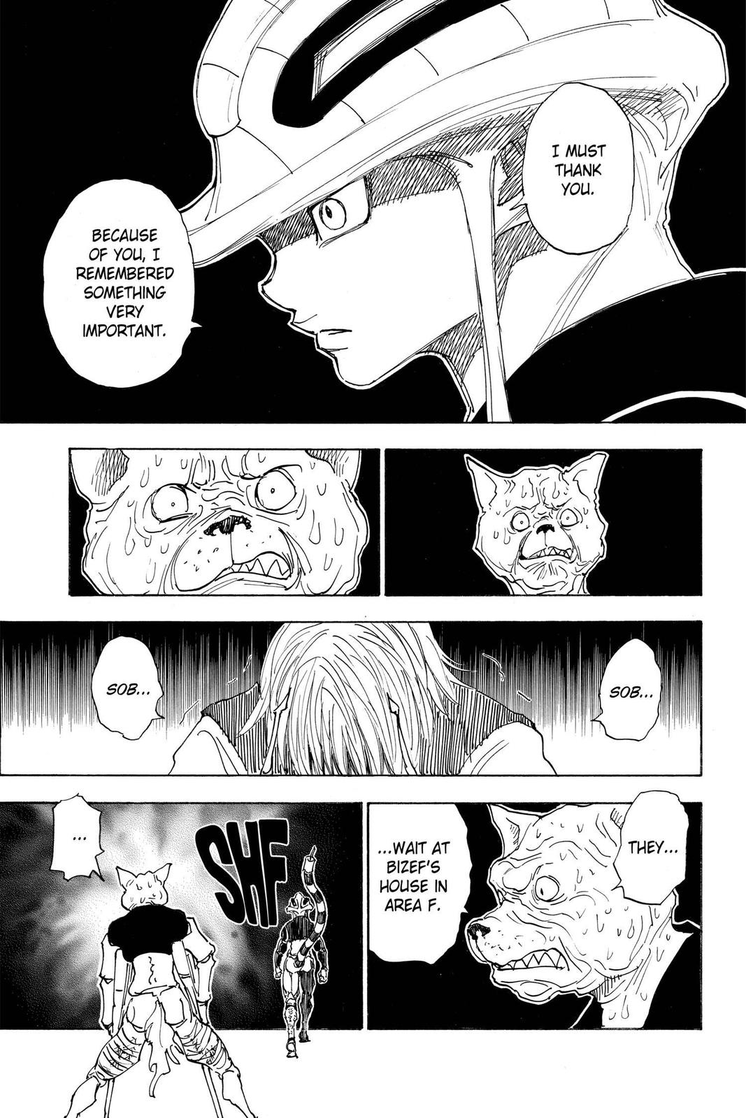 Hunter x Hunter Chapter 313 - Page 12